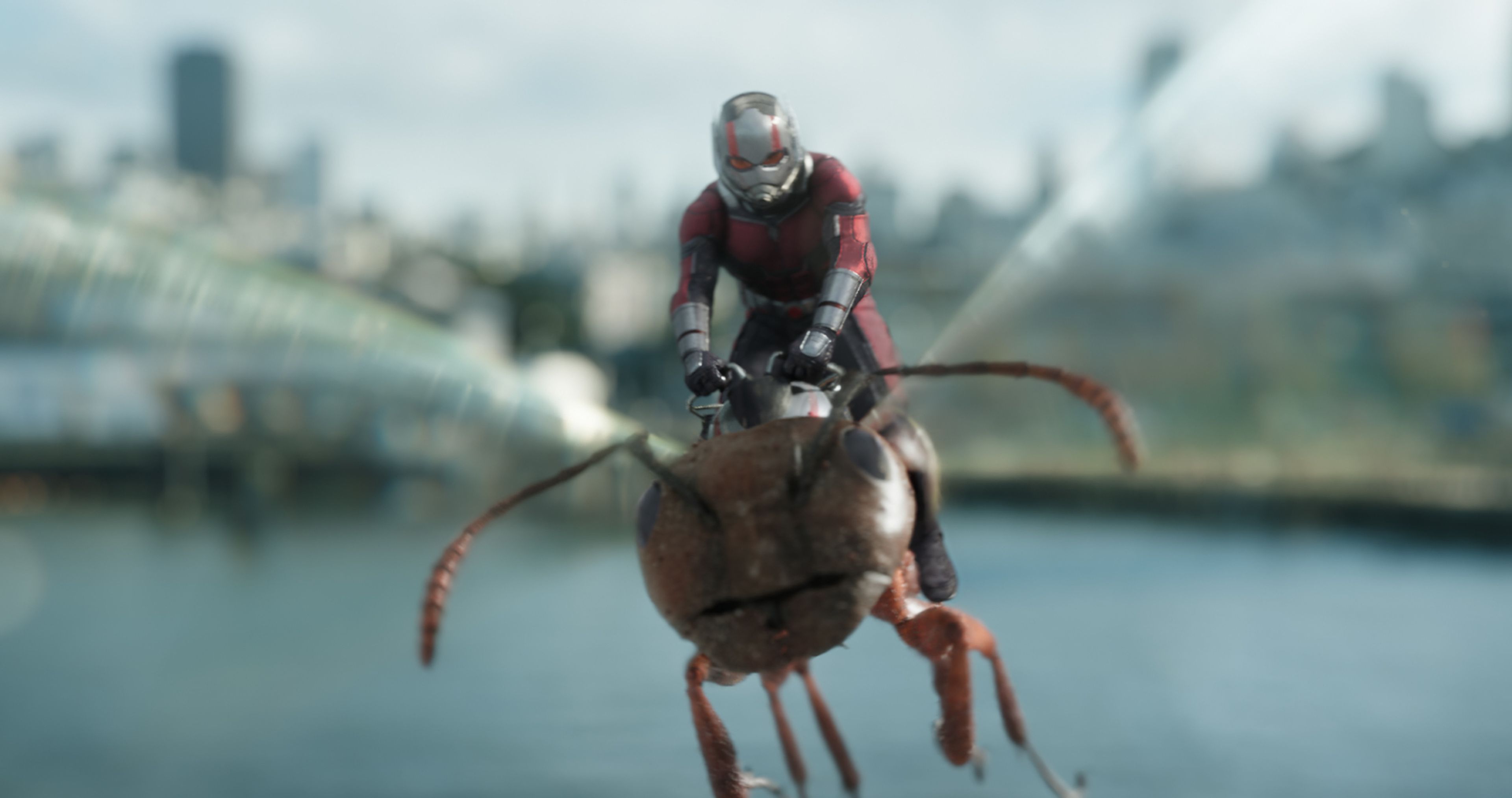 Antman, el hombre hormiga.