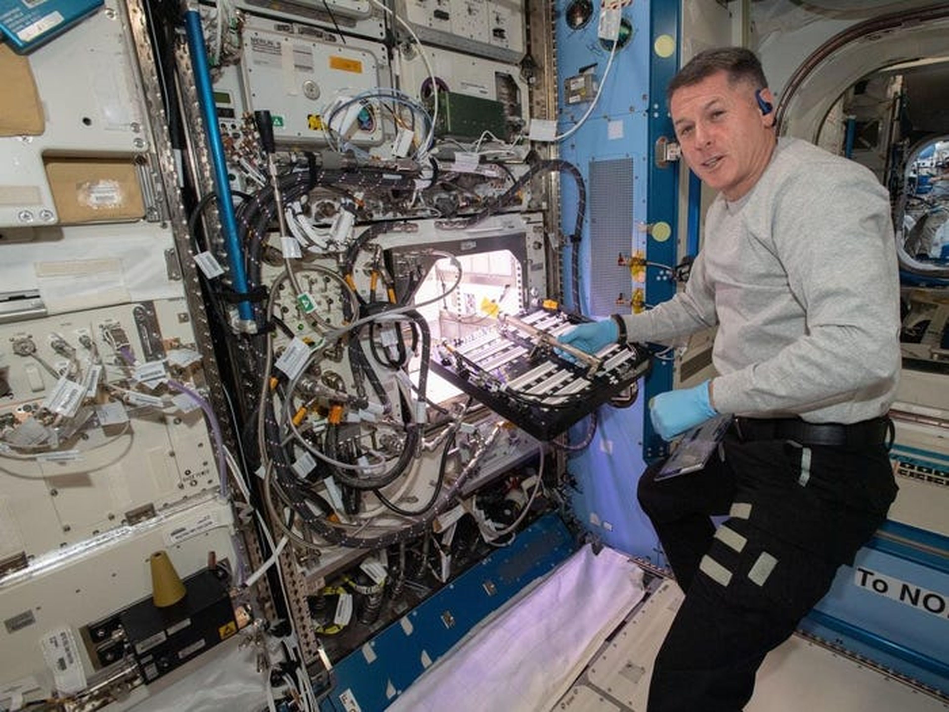 El astronauta de la NASA Shane Kimbrough introduce un dispositivo de transporte científico en el Advanced Plant Habitat (APH), que contiene 48 semillas de chile Hatch.