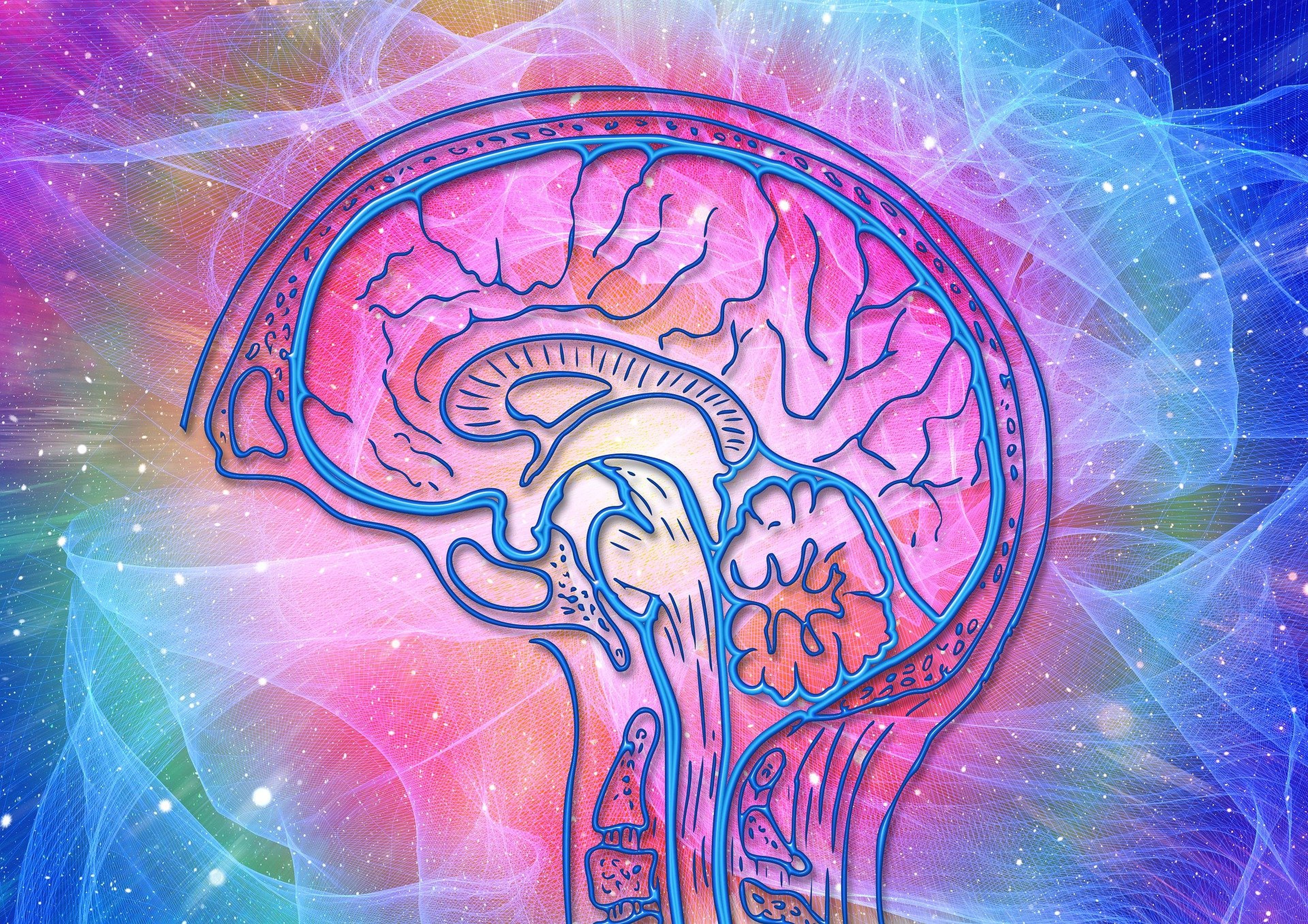 Brain effect. Изображение мозга. Мозг рисунок. Красивое изображение мозга.
