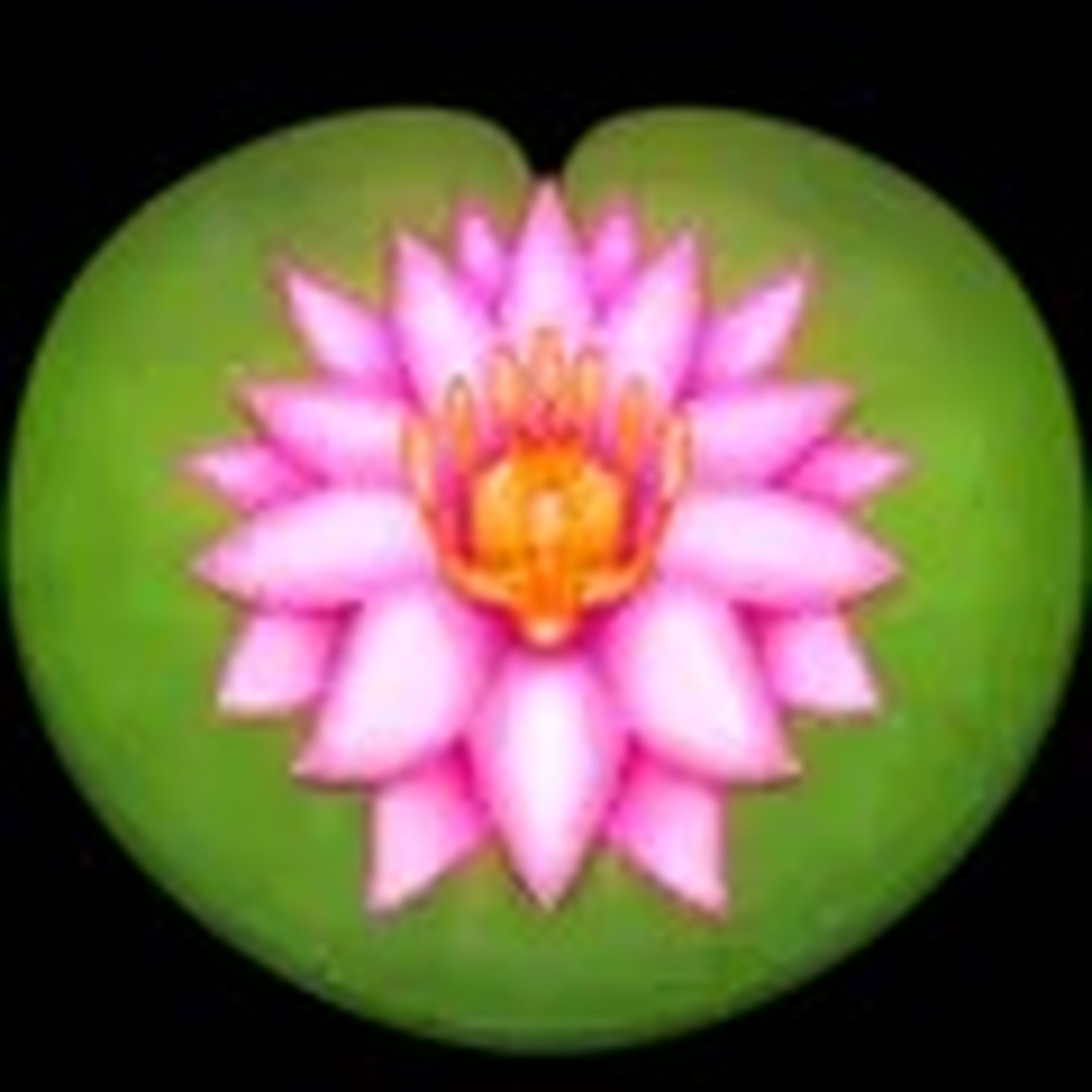 Lotus emoji