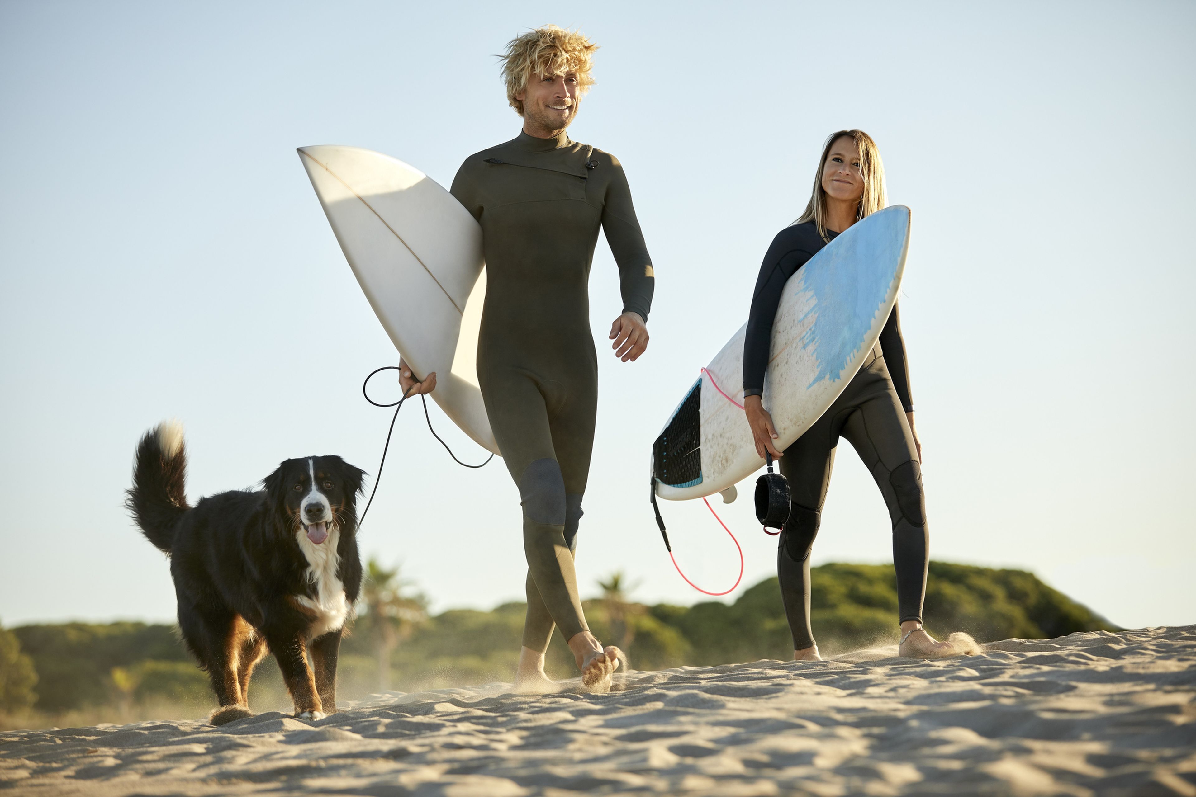 Surf y perro