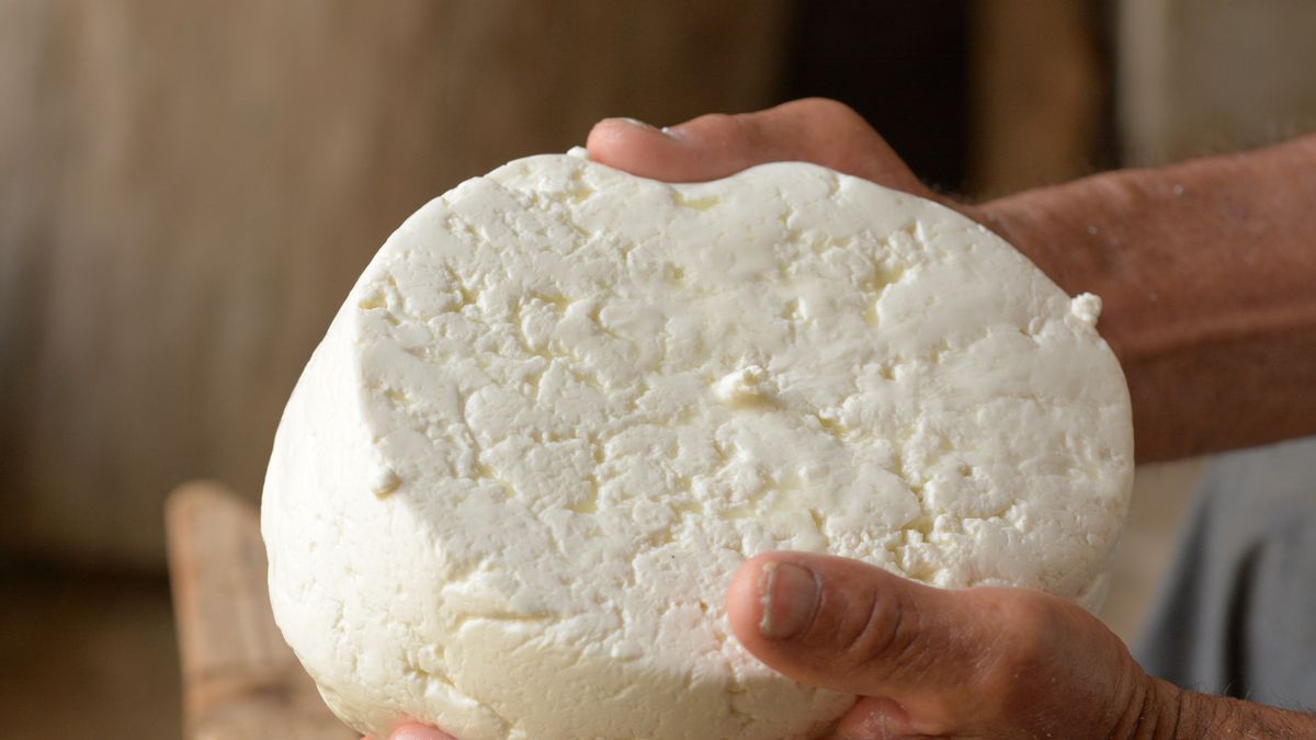 Cómo conservar el queso (según el tipo) sin que se estropee con facilidad