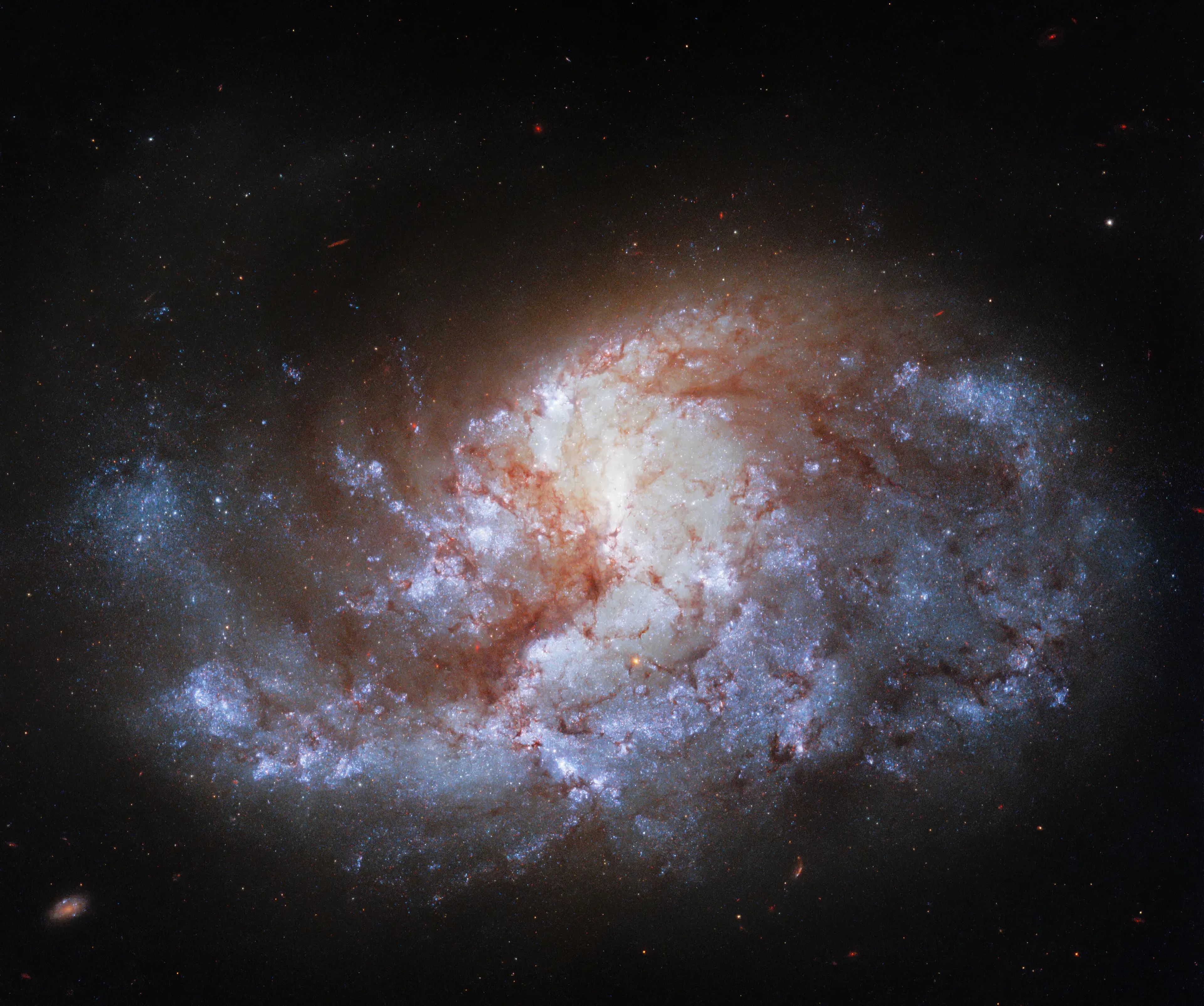 La galaxia se conoce como NGC 1385.