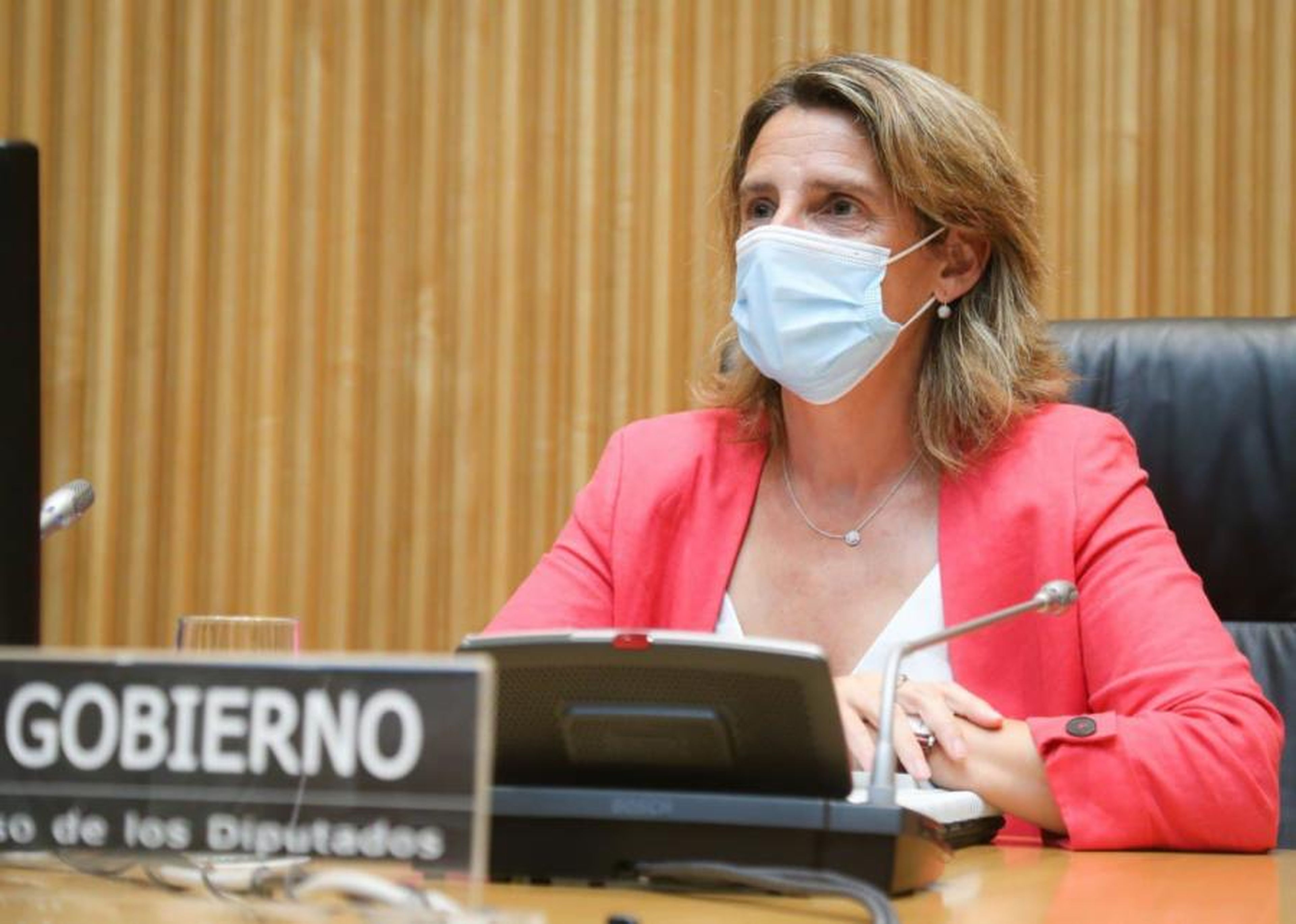 La ministra de Transición Ecológica y Reto Demográfico, Teresa Ribera. Congreso de los Diputados