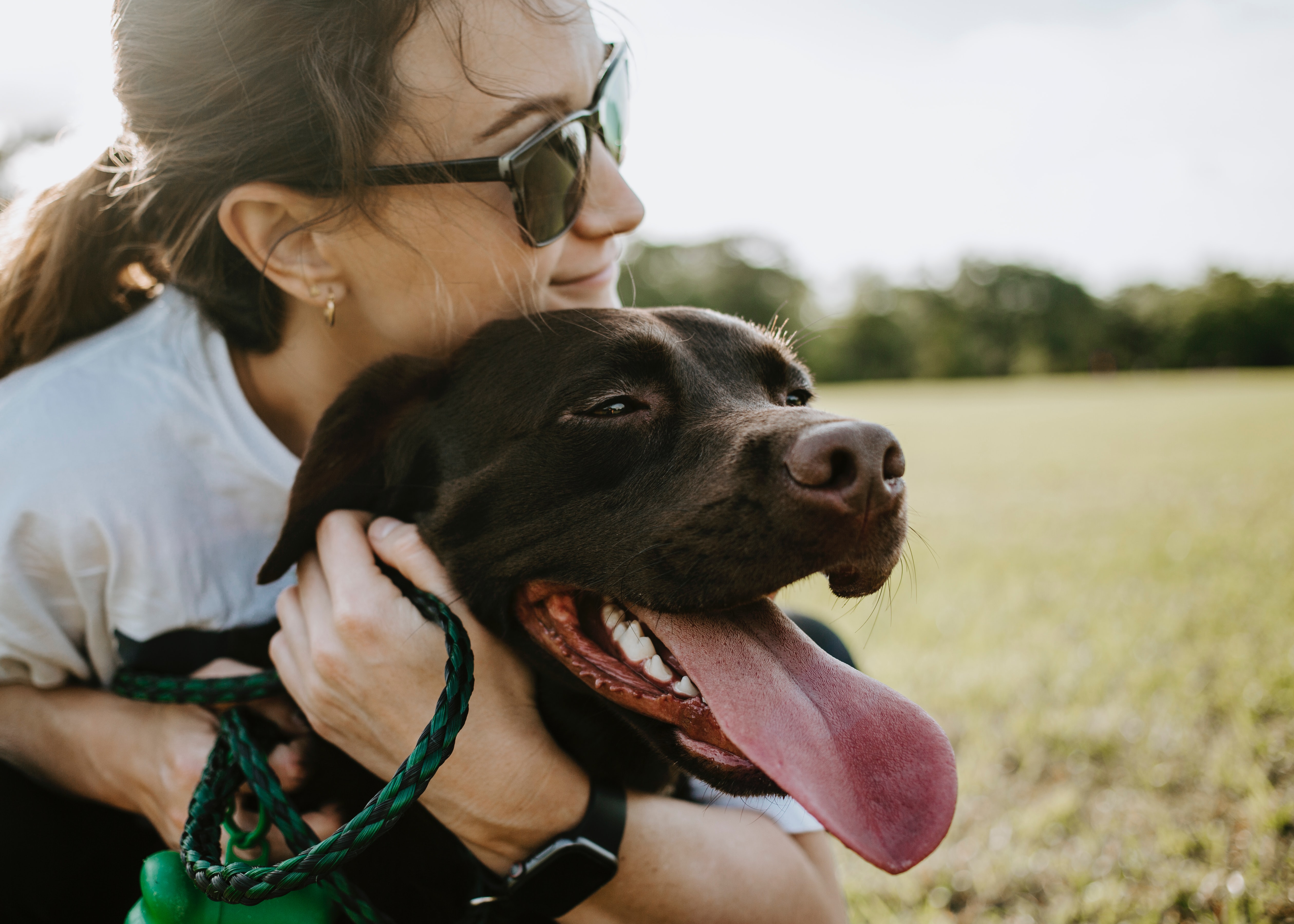 Qué tan fácil es alimentar a tu perrito con WOLFOOD? ¡Súper fácil! Mira  nuestro paso a paso en el post. 🍖 ¡Si tienes preguntas no dudes…