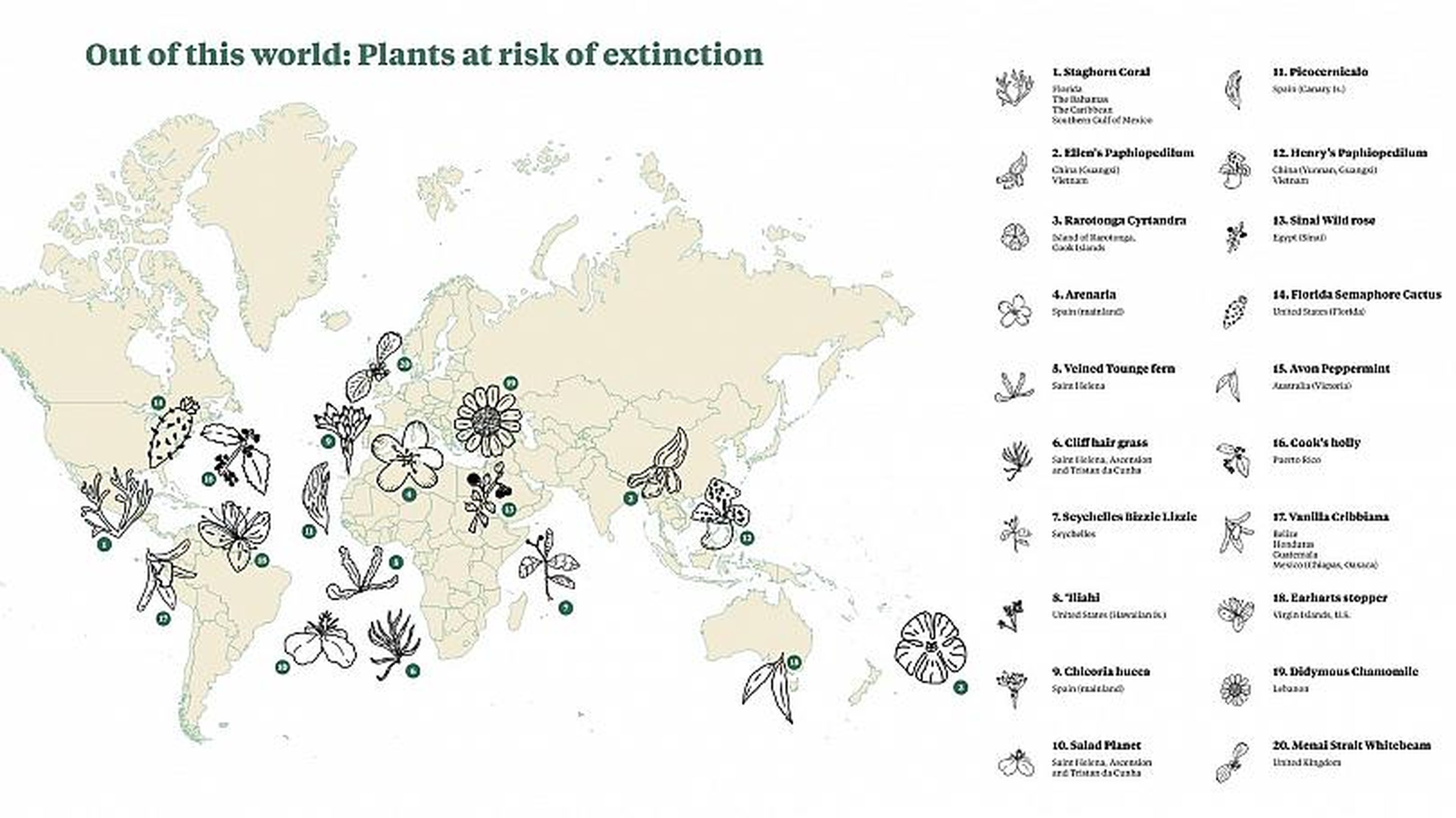 Plantas en riesgo de extinción