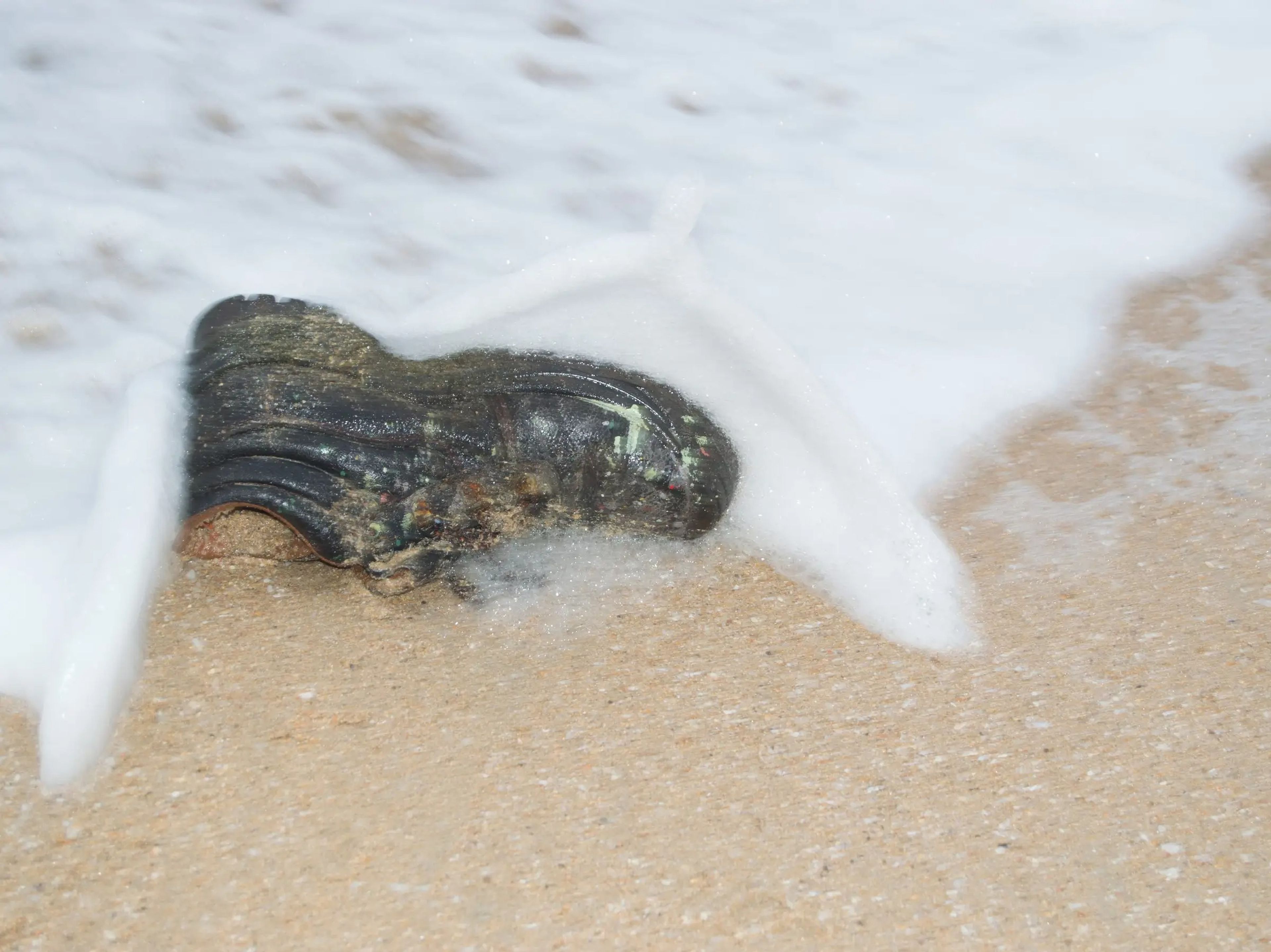 Imagen de stock de un zapato varado en una playa.