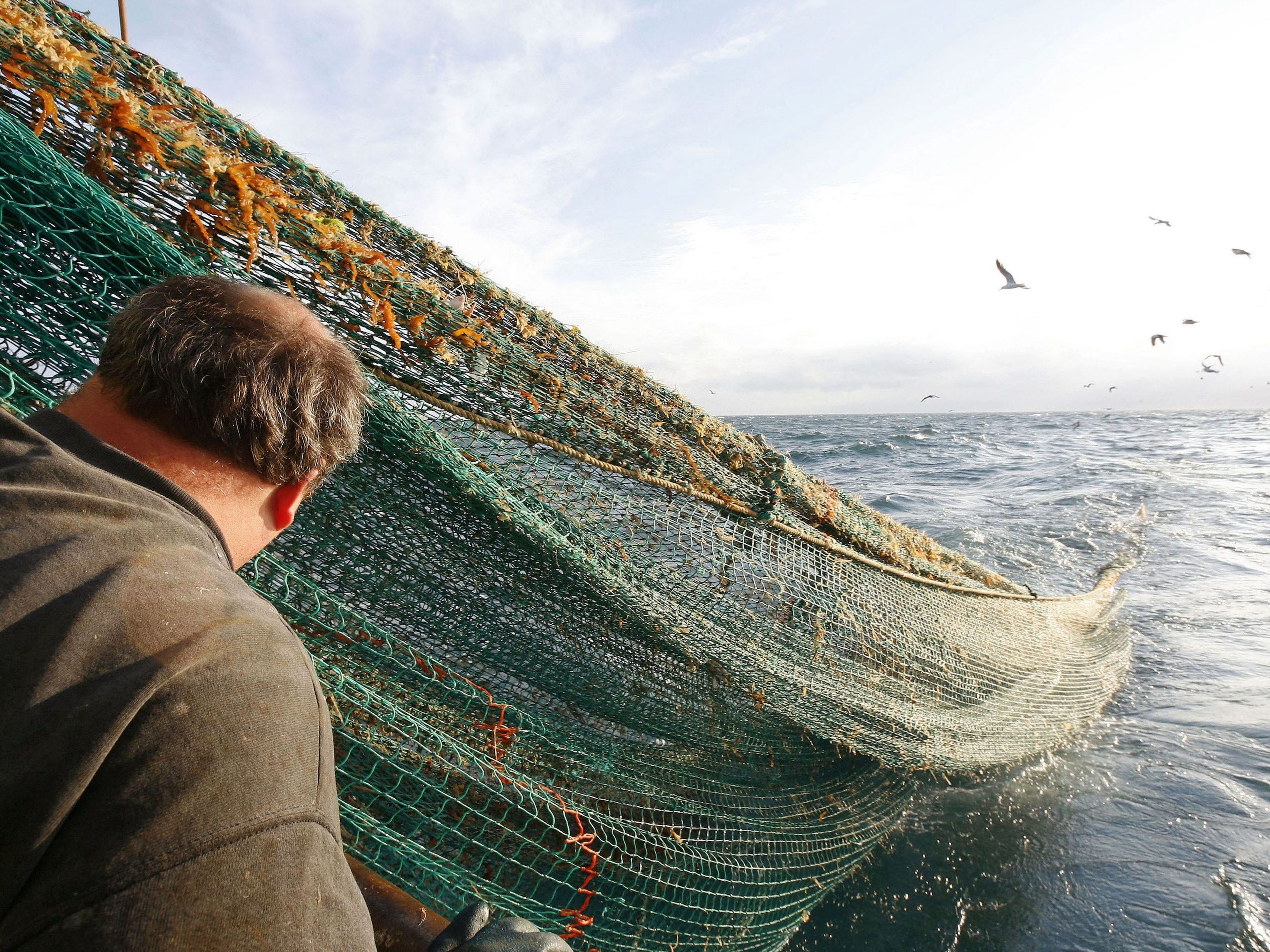 Los cables submarinos deben estar enterrados para protegerlos de las redes de arrastre como esta. Sylvain Lefevre/Getty Images