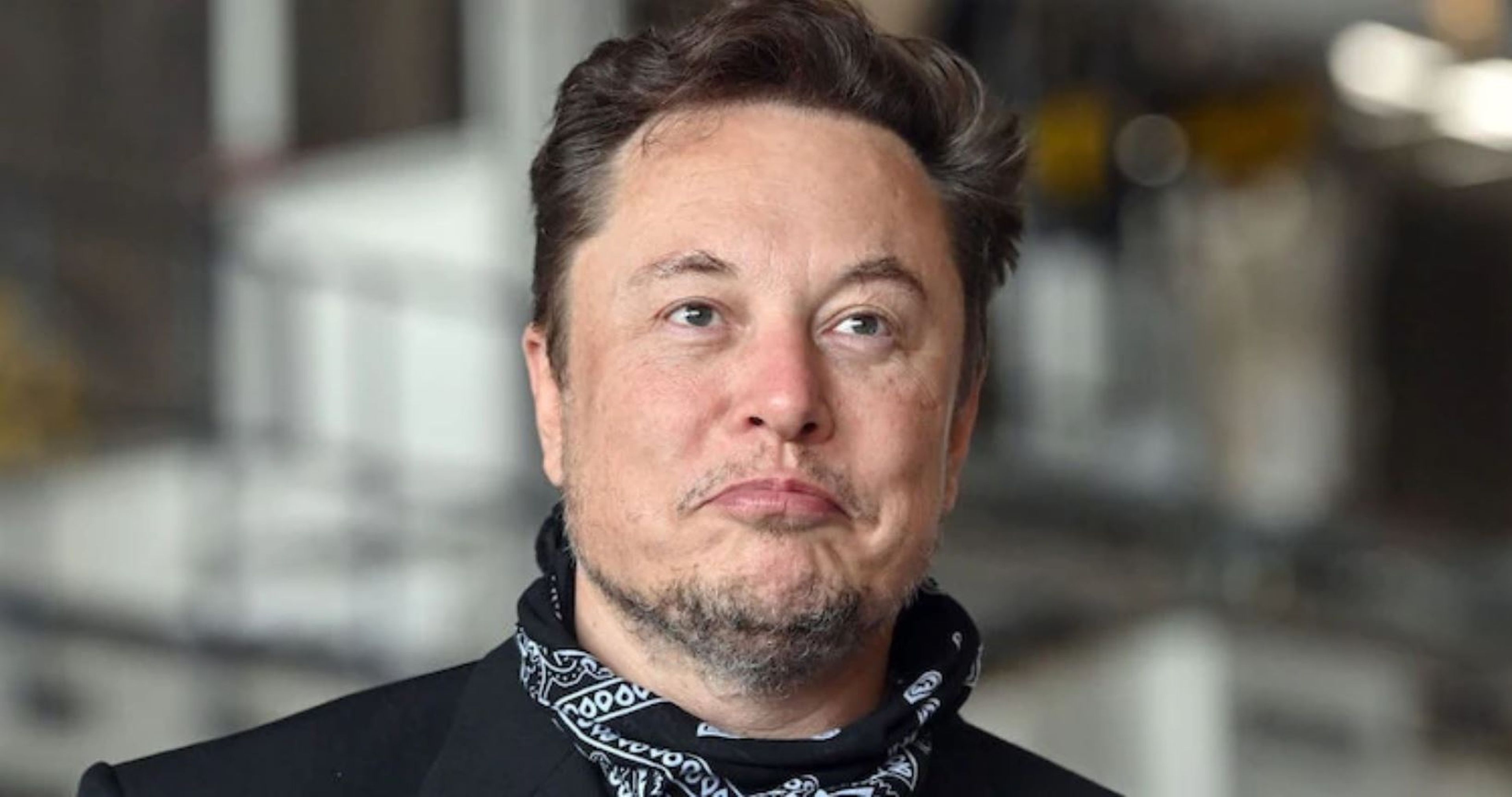 El CEO de Tesla, Elon Musk. Patrick Pleul/Getty Images