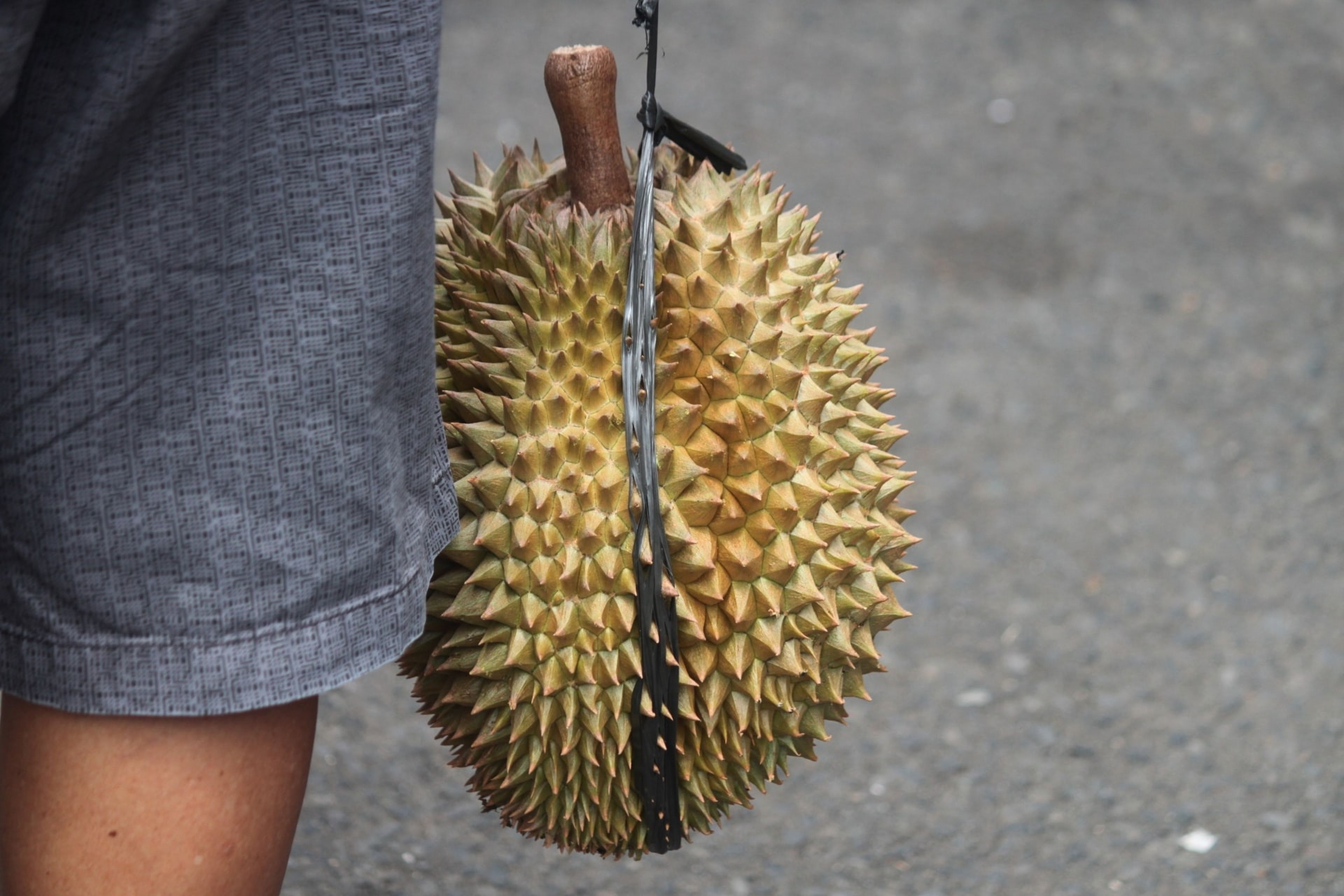 Aspecto del durian, una fruta de Indonesia que levanta tantos odios como pasiones.