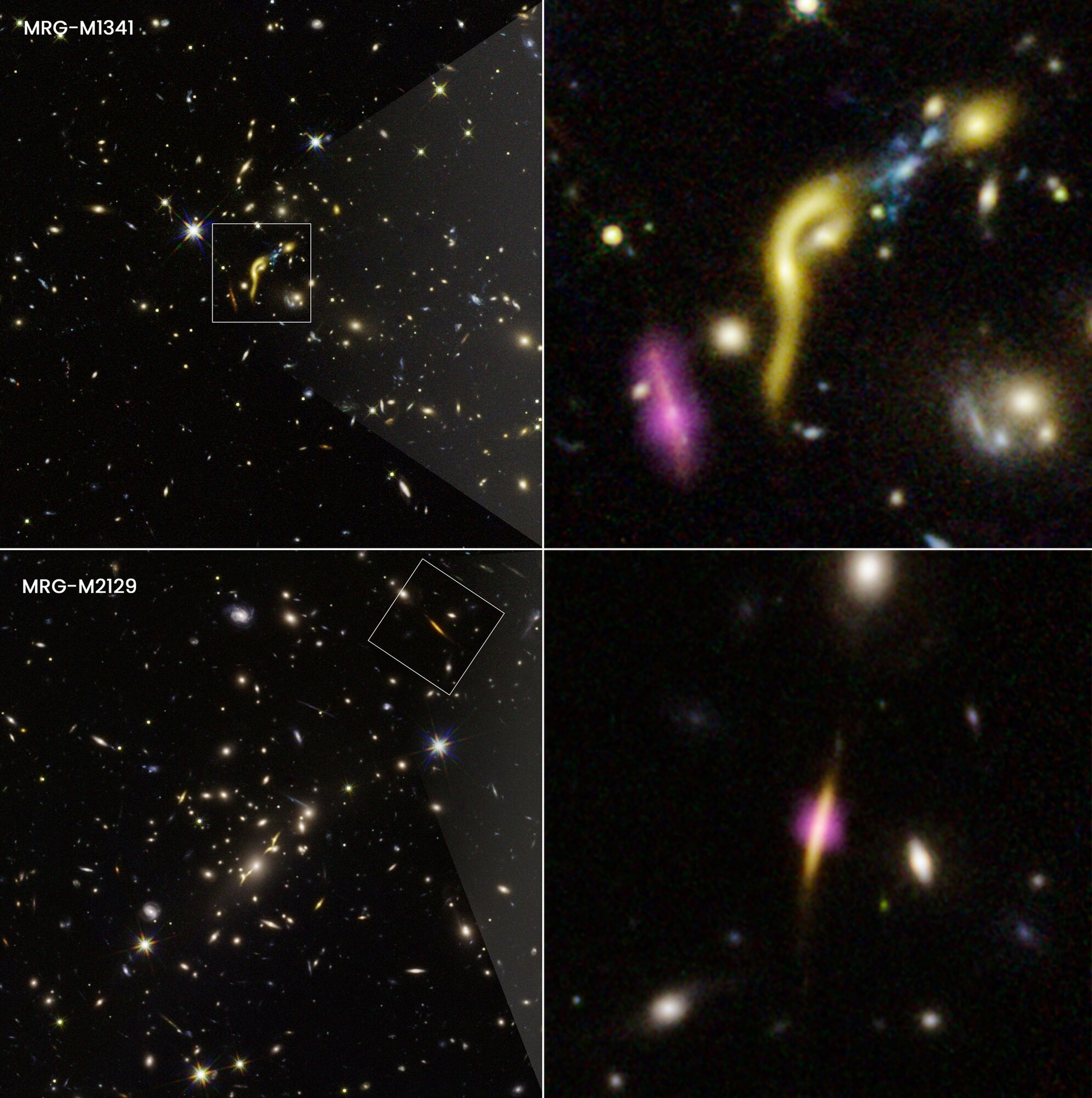Imágenes compuestas por Hubble y ALMA que muestran 2 de estas galaxias, con puntos resltados donde la formación de estrellas ha cesado por el agotamiento del hidrógeno.