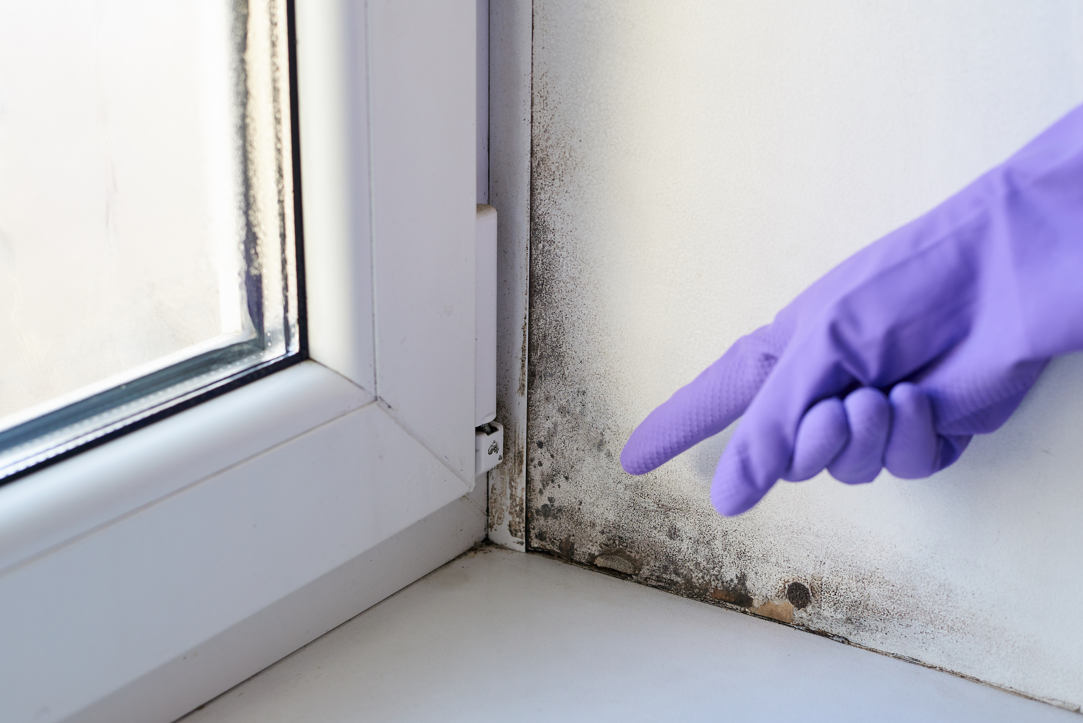 Cómo quitar manchas de humedad en la pared y evitar su reaparición