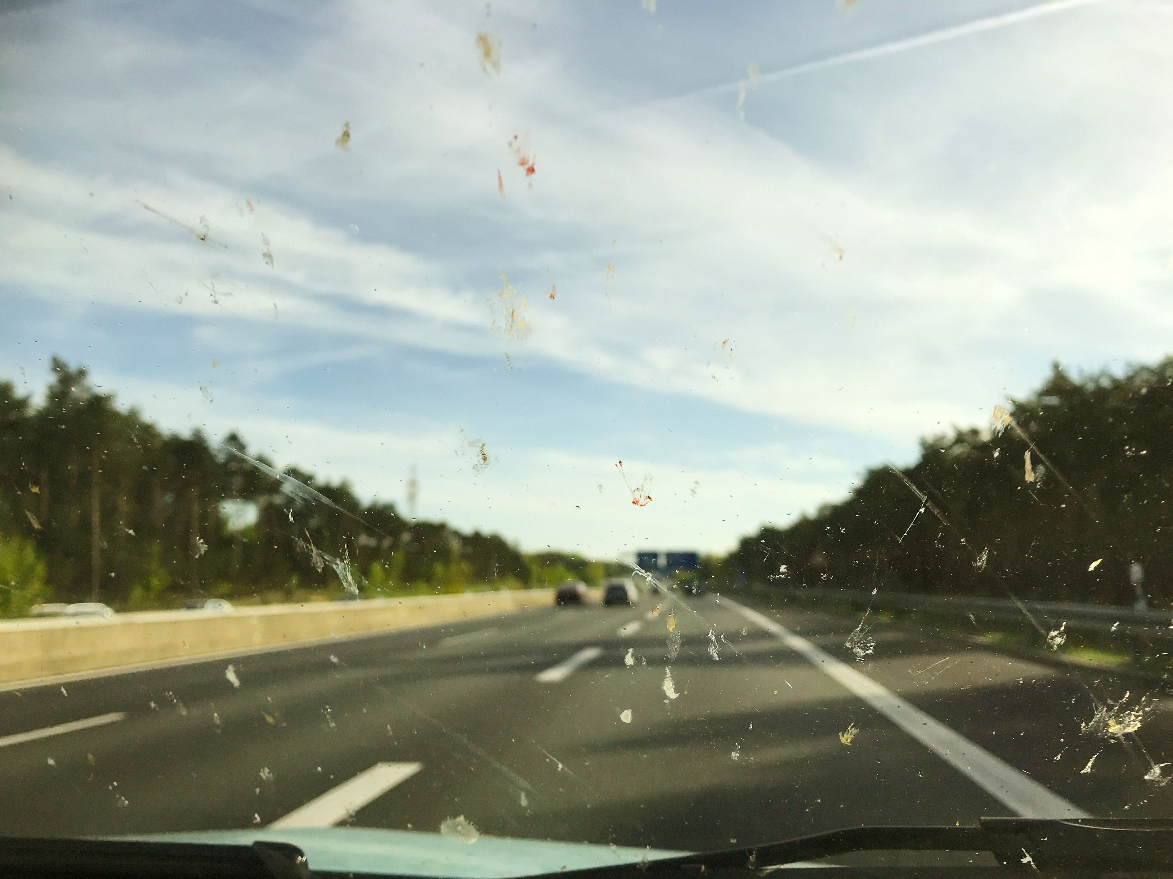 El 'fenómeno del parabrisas': ¿por qué cada vez se estrellan menos insectos  en el frontal del coche?
