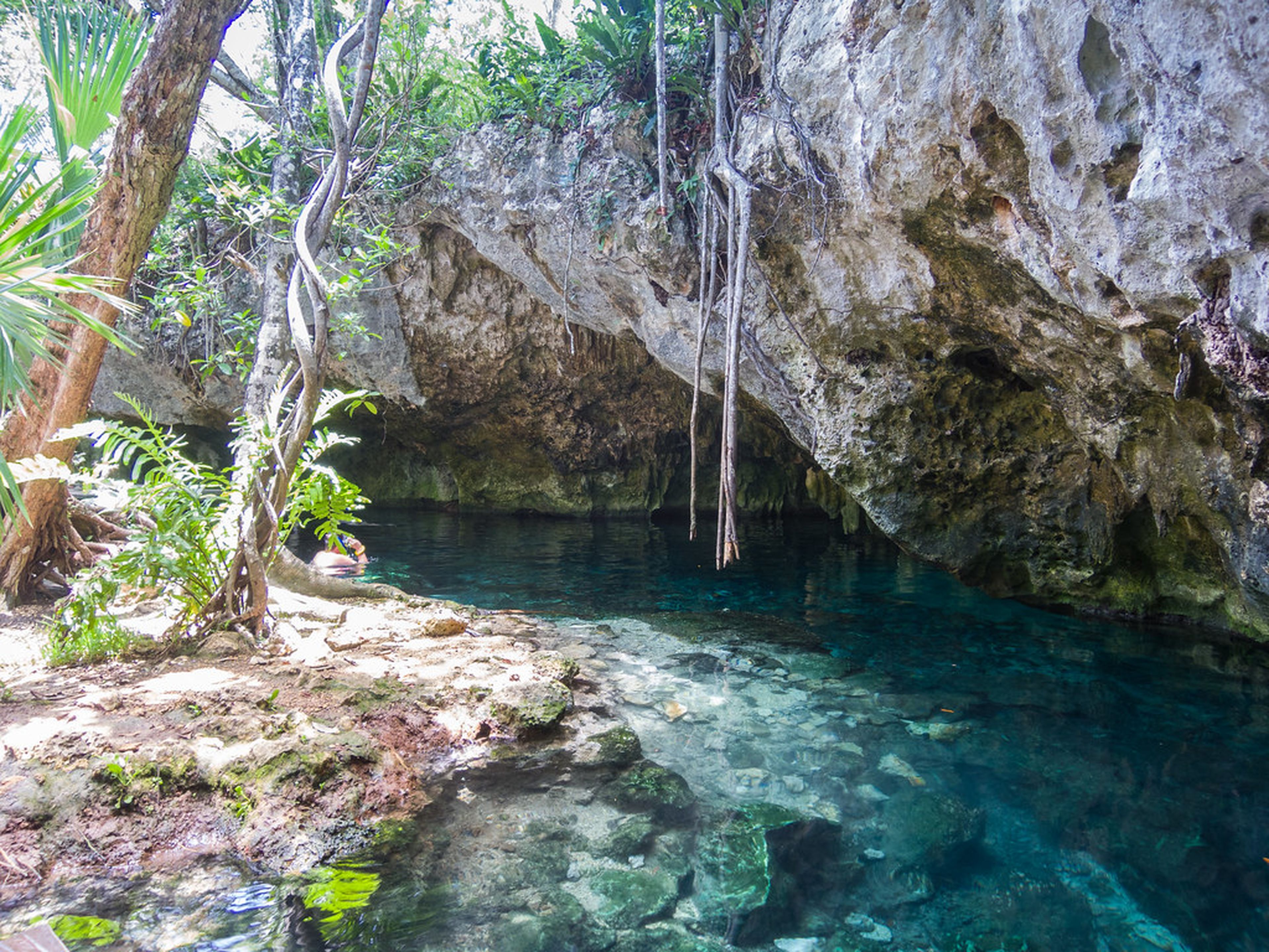 Cenote en Tulum, México