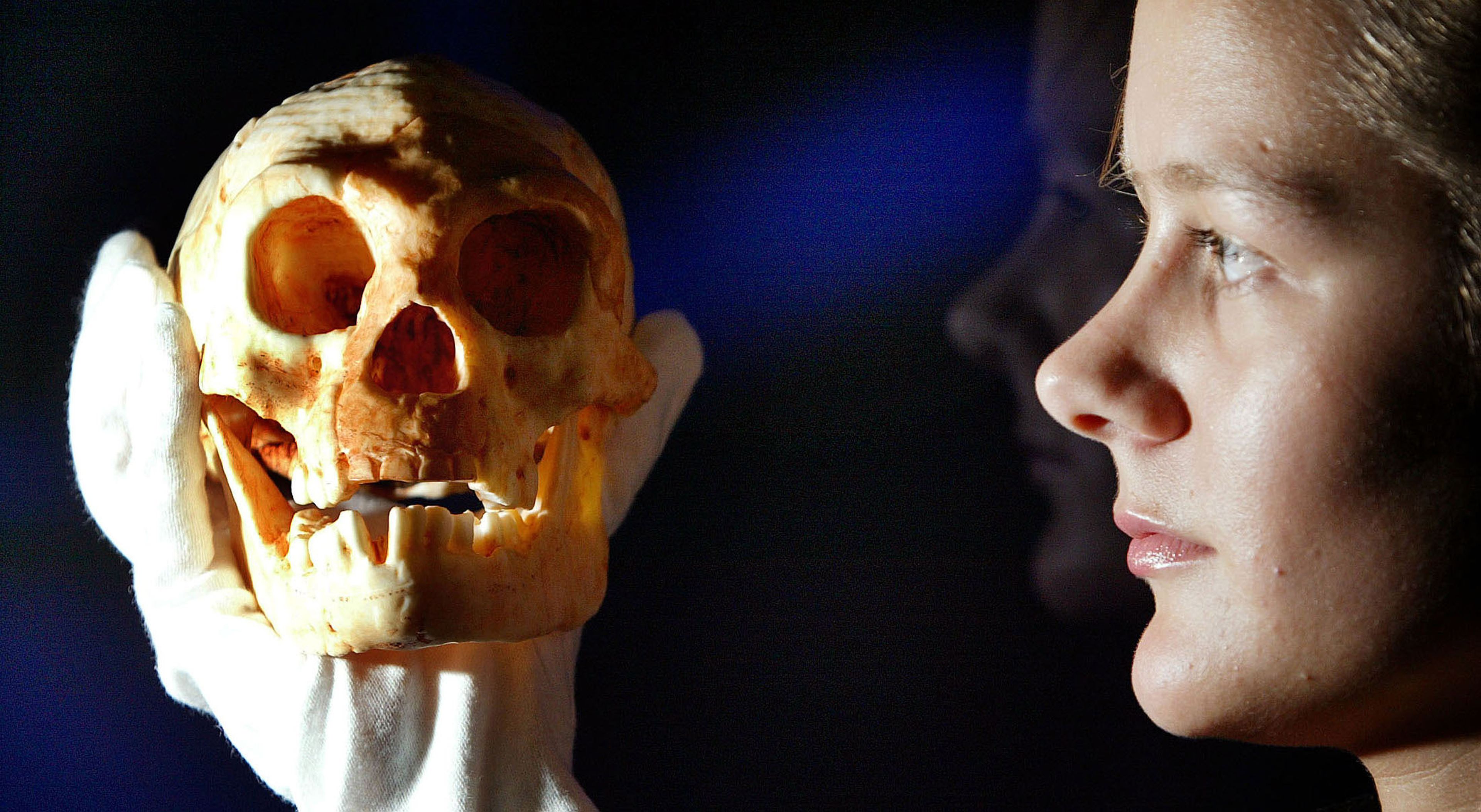 Cráneo de hace 18.000 años de una especie humana de tamaño muy pequeño.