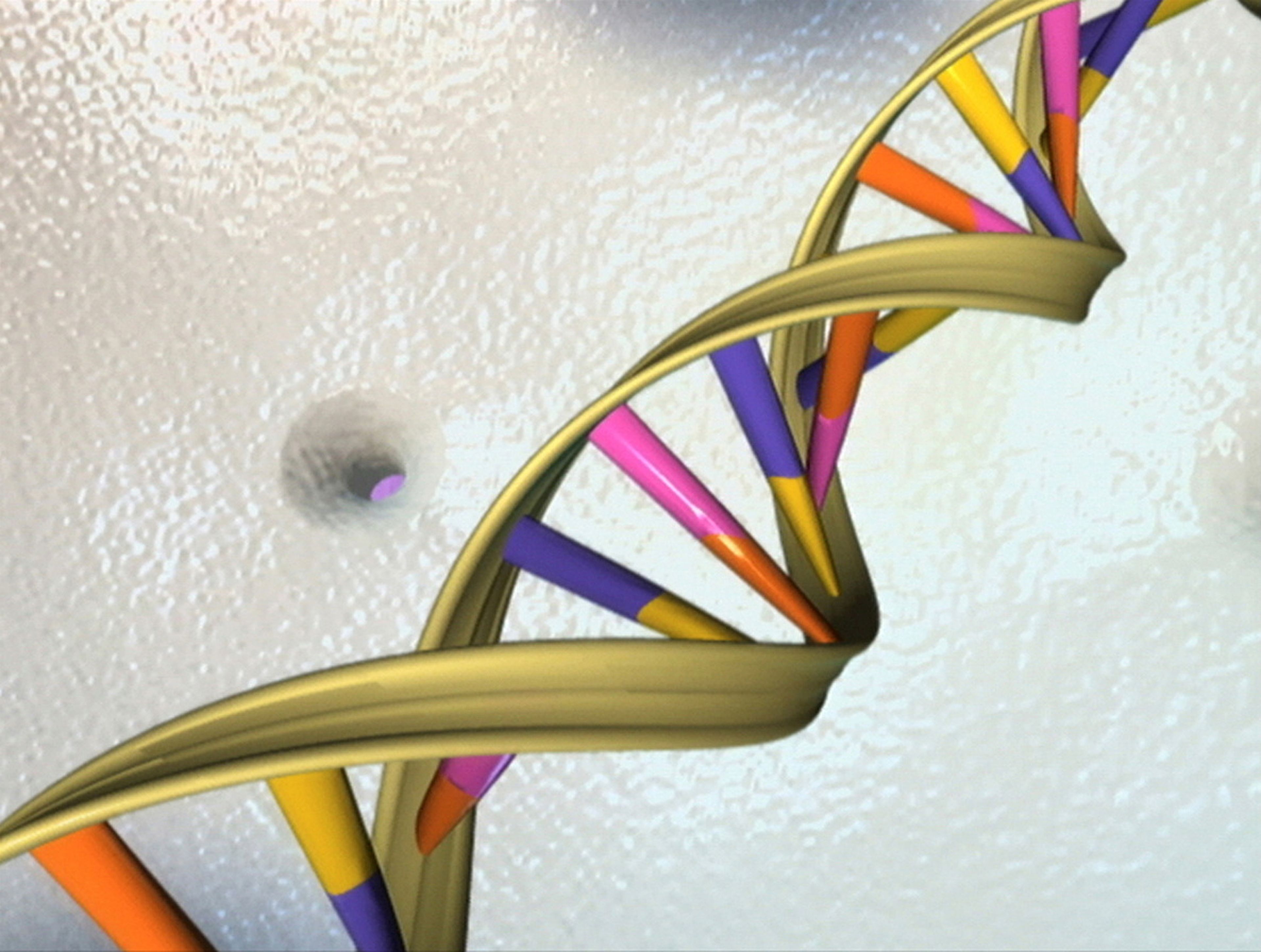 imagen de fragmento de ADN