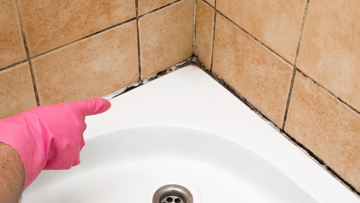 Cómo elegir el mejor limpiador de moho para el baño - Casacochecurro