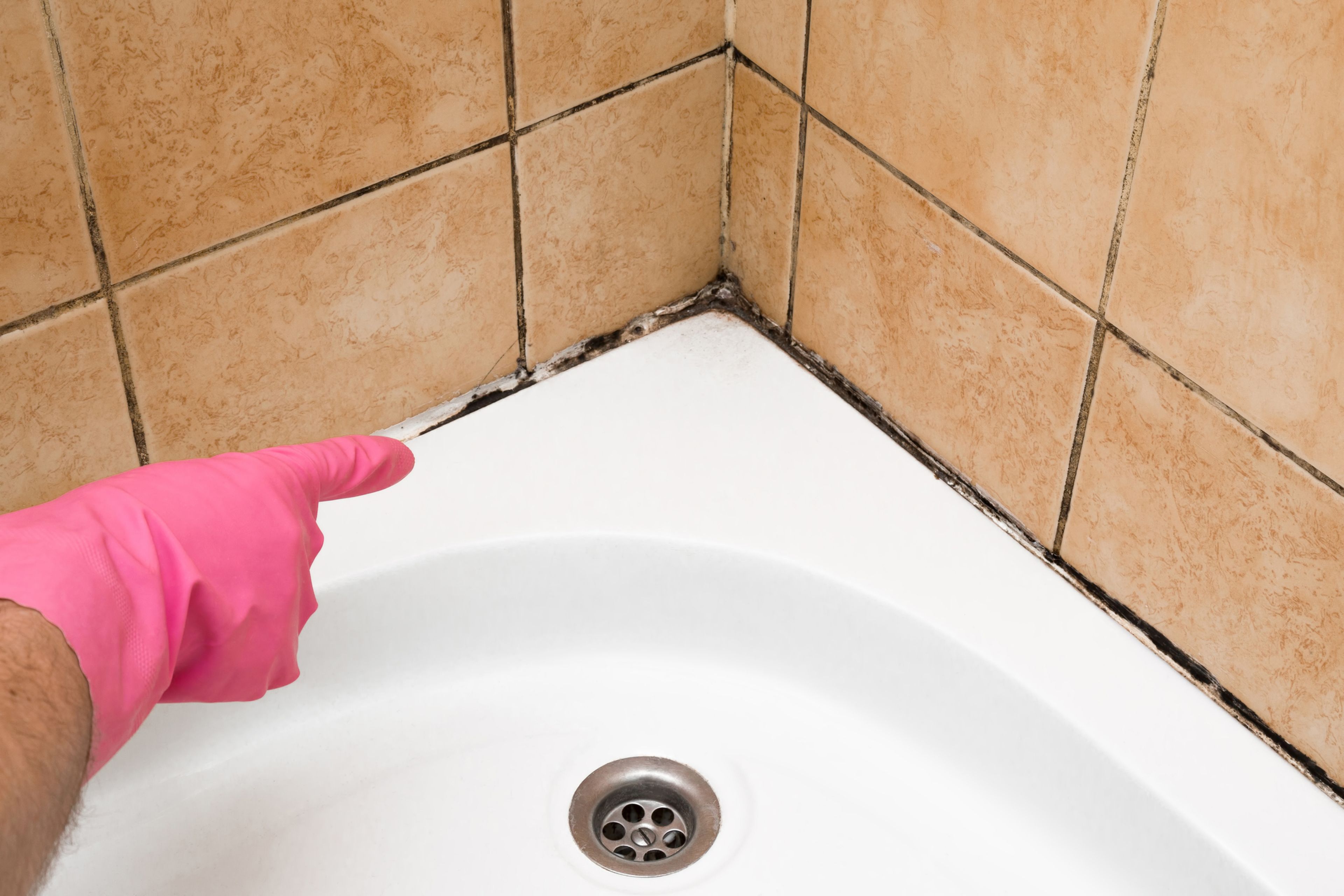 instinto eficiencia marxista Cómo limpiar la alfombrilla antideslizante de la ducha | Business Insider  España