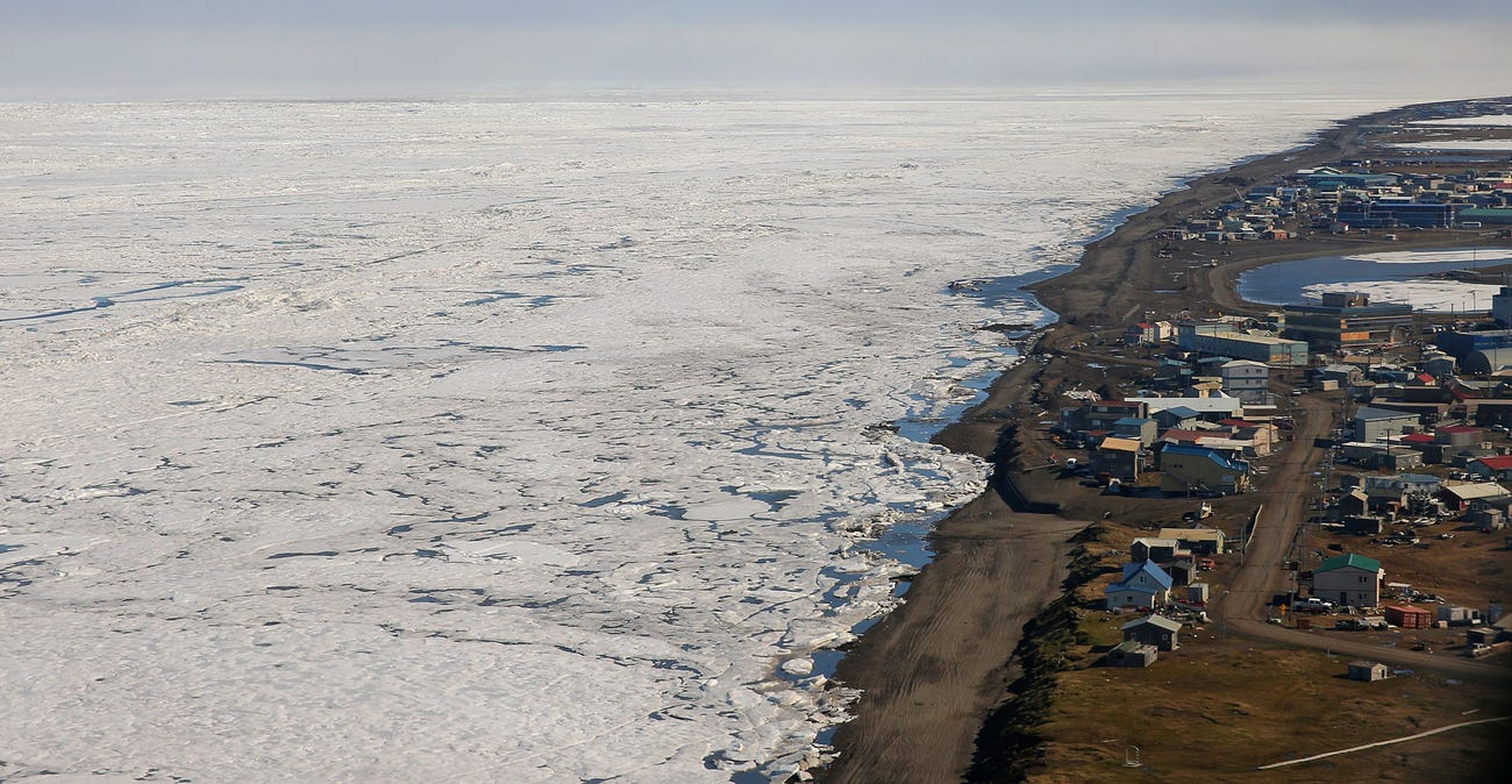 "Dado que aquí no hay tanto hielo marino, no vemos focas, morsas u osos polares", cuenta Myron McCumner a Business Insider.