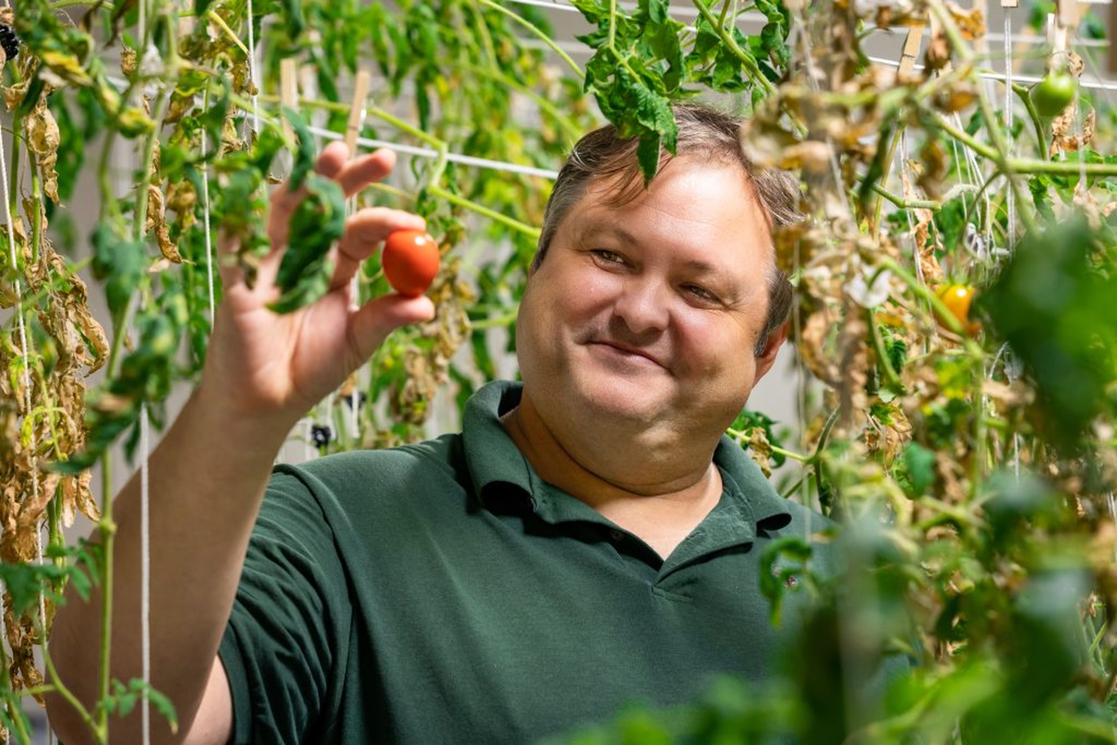 Andrew Palmer sostiene un tomate cultivado en condiciones similares a las de Marte en la Red House.