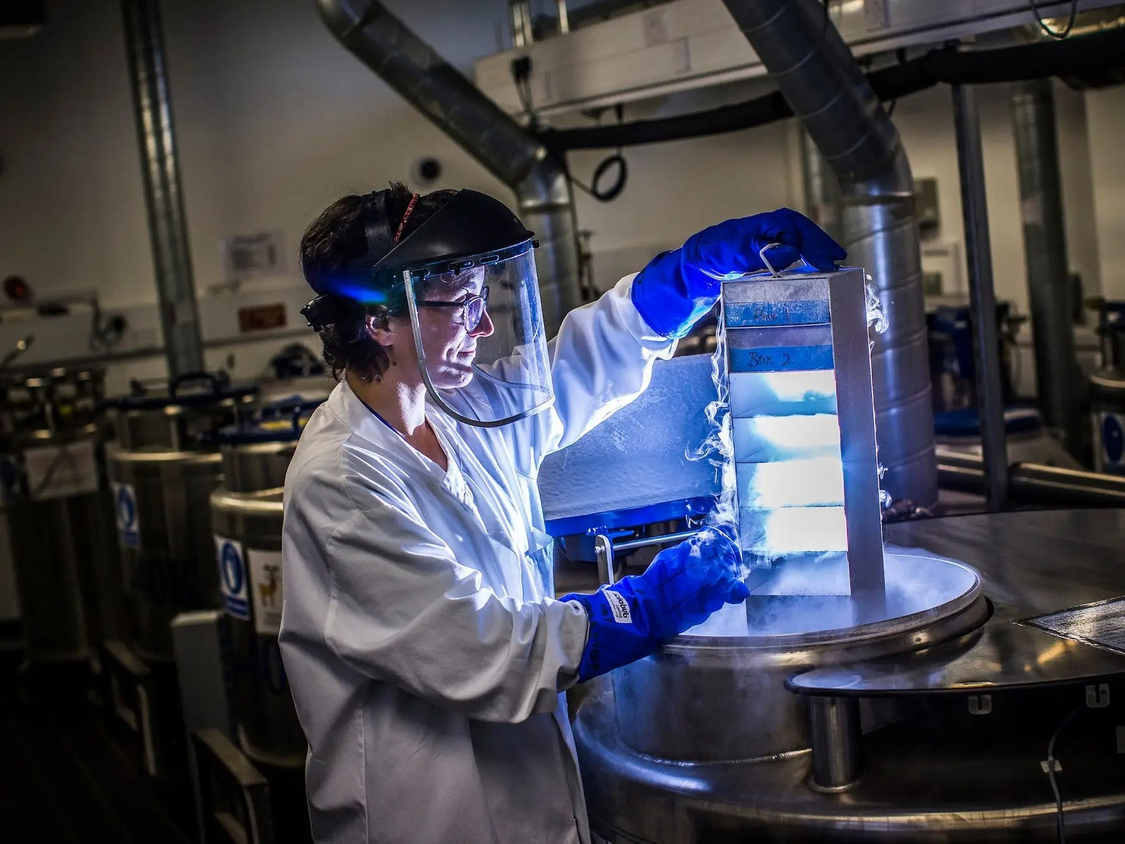 Una científica introduce muestras biológicas en un tanque de almacenamiento de nitrógeno líquido en el Cancer Research del Cambridge Institute, Reino Unido.
