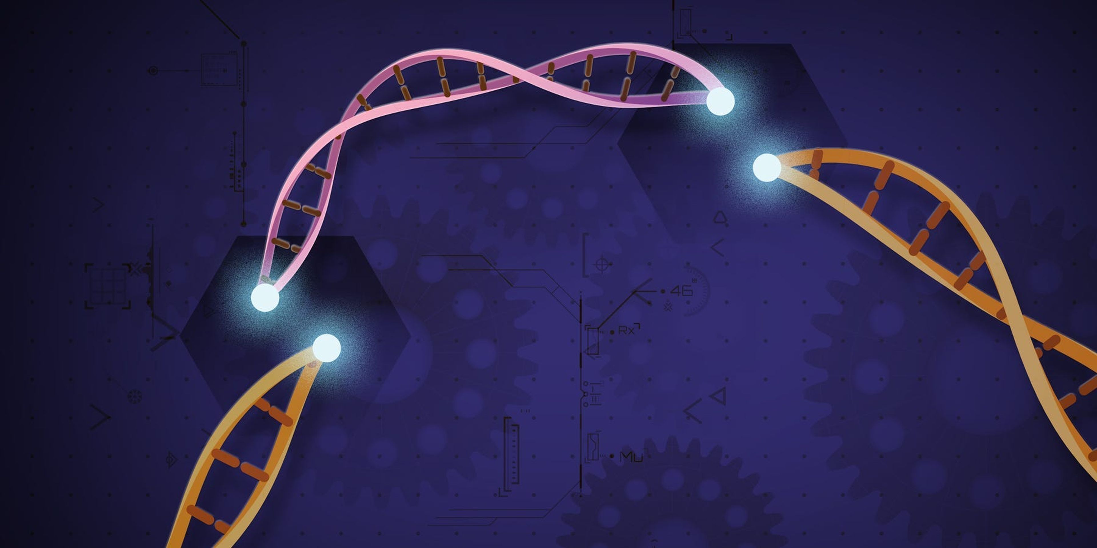 CRISPR-Cas9 es una herramienta personalizable que permite a los científicos cortar e insertar pequeños trozos de ADN en zonas precisas de una cadena.