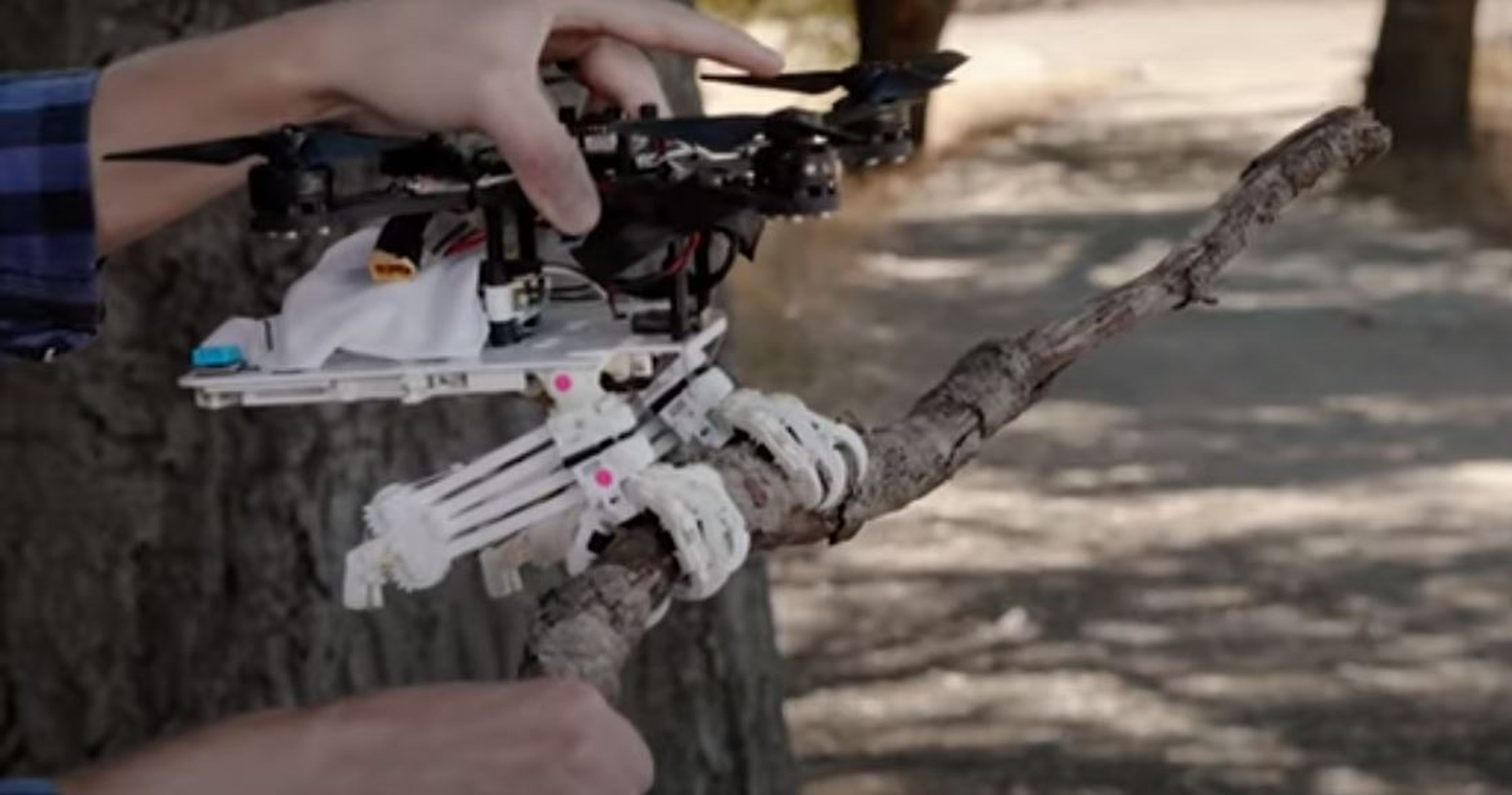 Robot desarrollado por la Universidad de Stanford que imita a los pájaros.