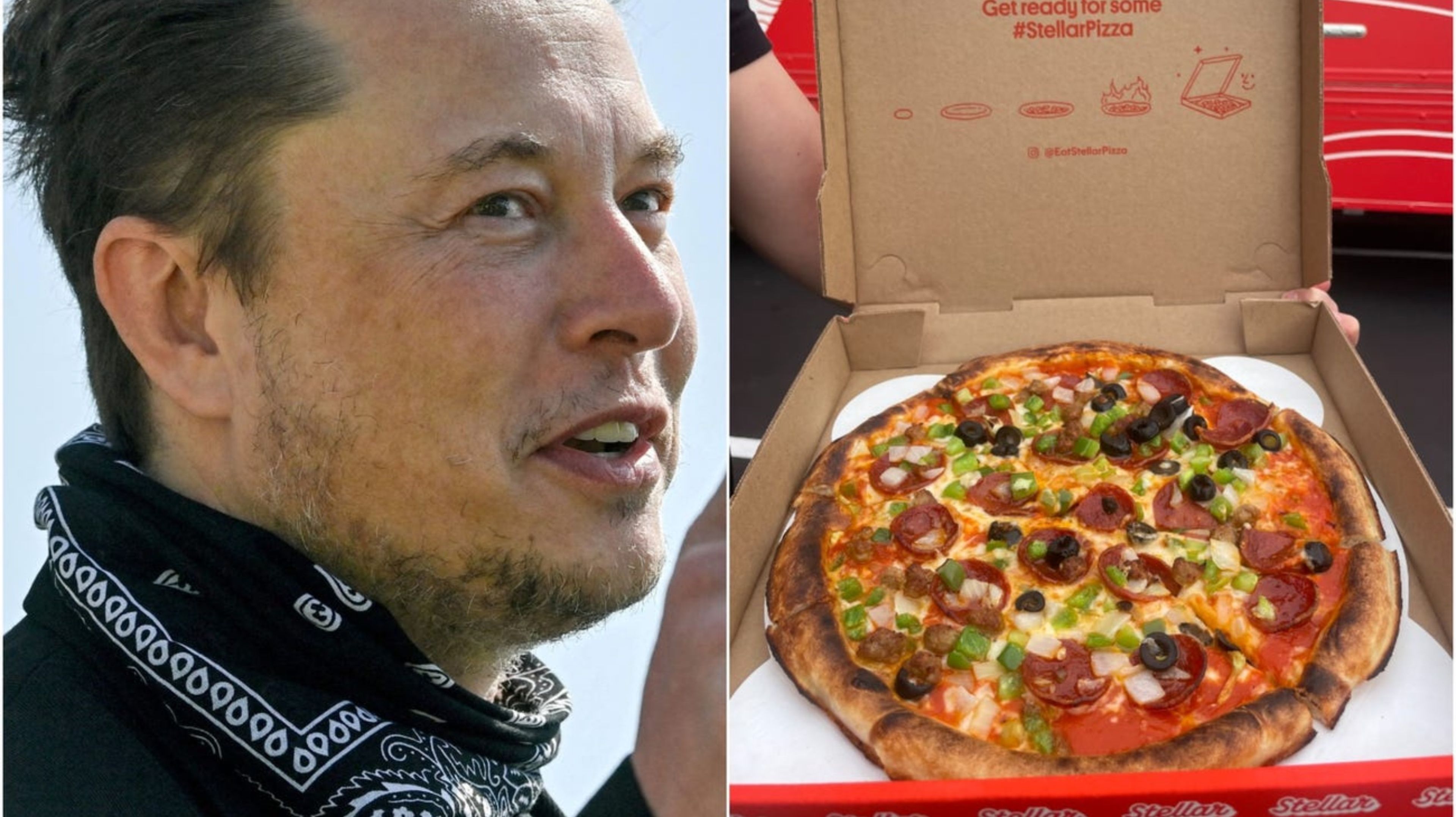 Stellar Pizza cuenta con más de 23 empleados que solían trabajar en la empresa de Elon Musk.