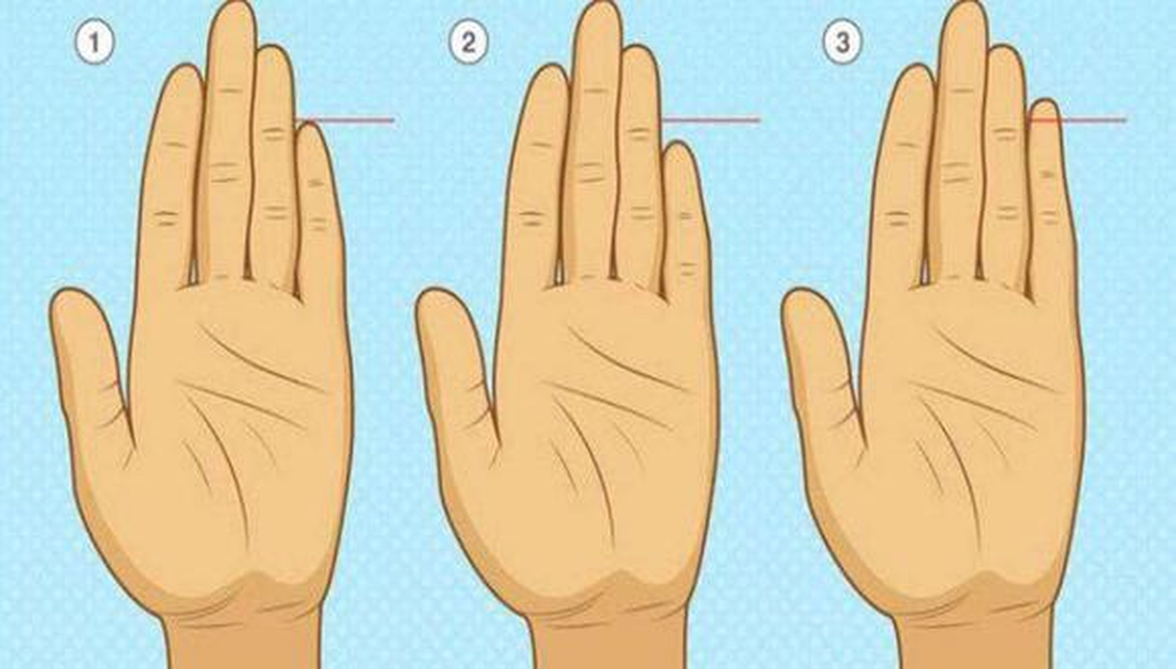 provocar Elegancia Rebajar Test visual: tu dedo meñique esconde rasgos ocultos de tu personalidad |  Business Insider España
