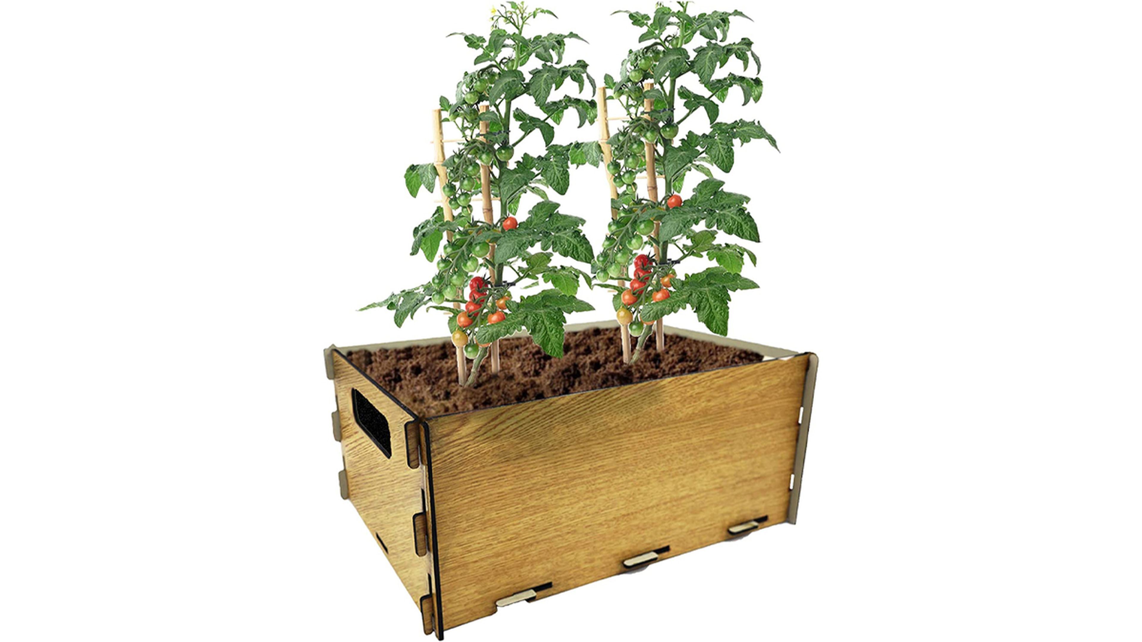 PLANTAWA Kit de Siembra para Tomates