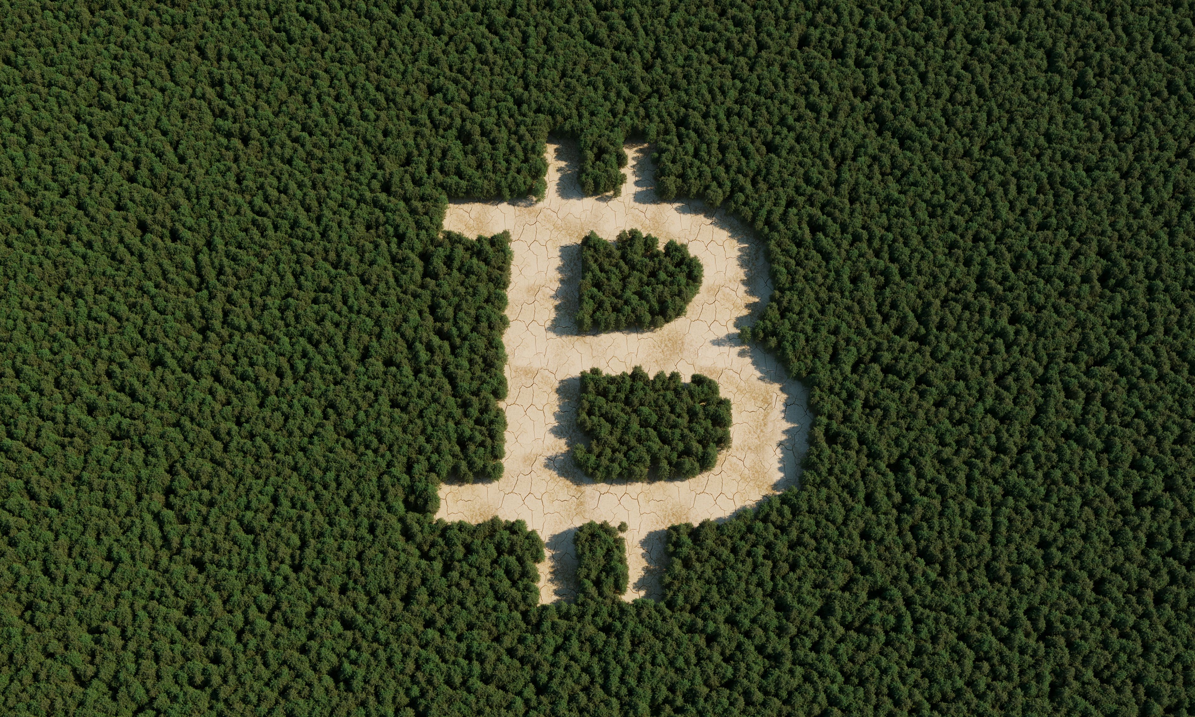 El símbolo de bitcoin en un bosque.