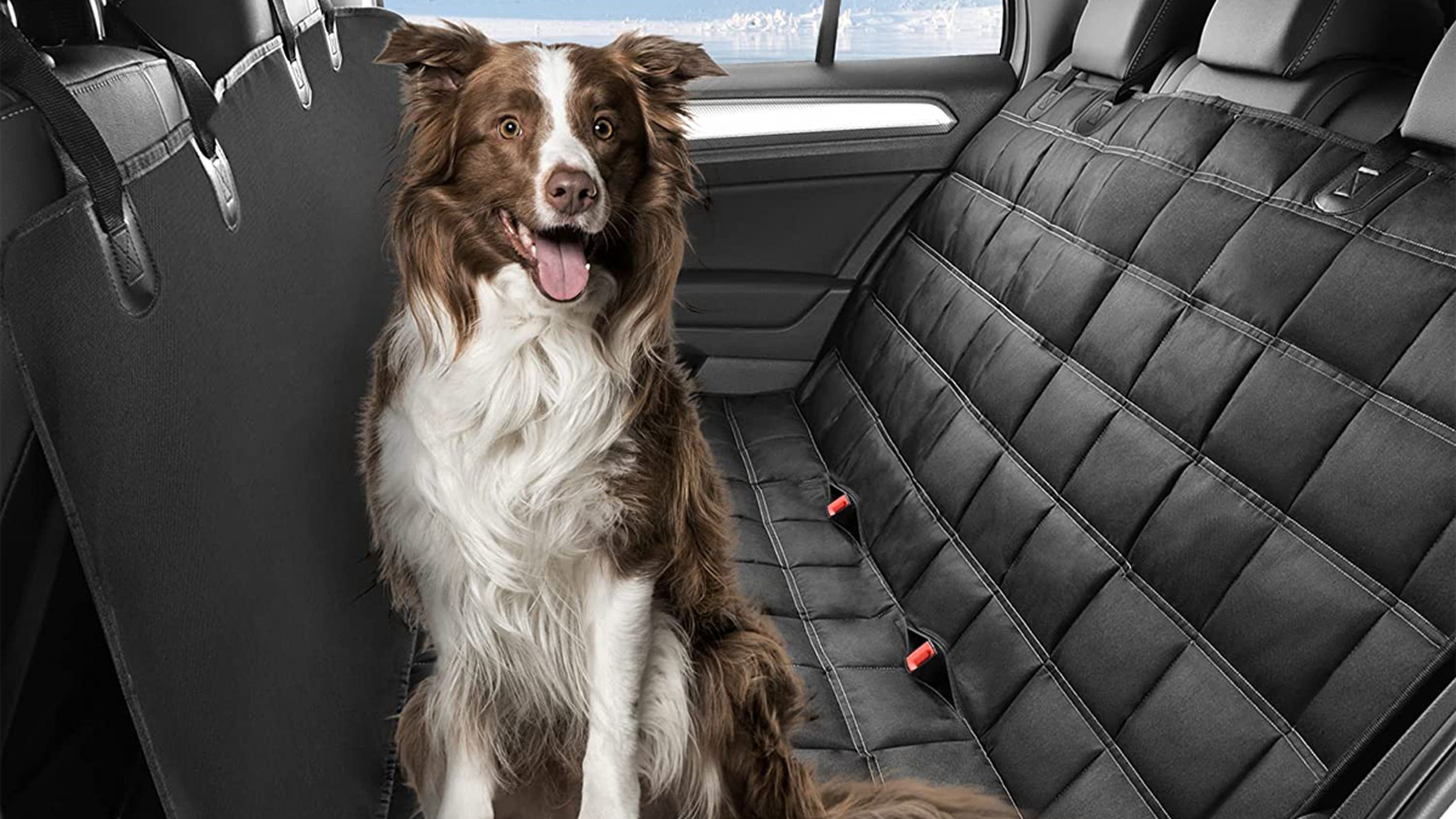 Cubierta Asiento Coche Perro, Funda Coche Perro Mascota Impermeable Proteja  su automóvil de rasguños, cabello o barro, hamaca resistente al agua para  perros de 4 capas para el asiento trasero : 