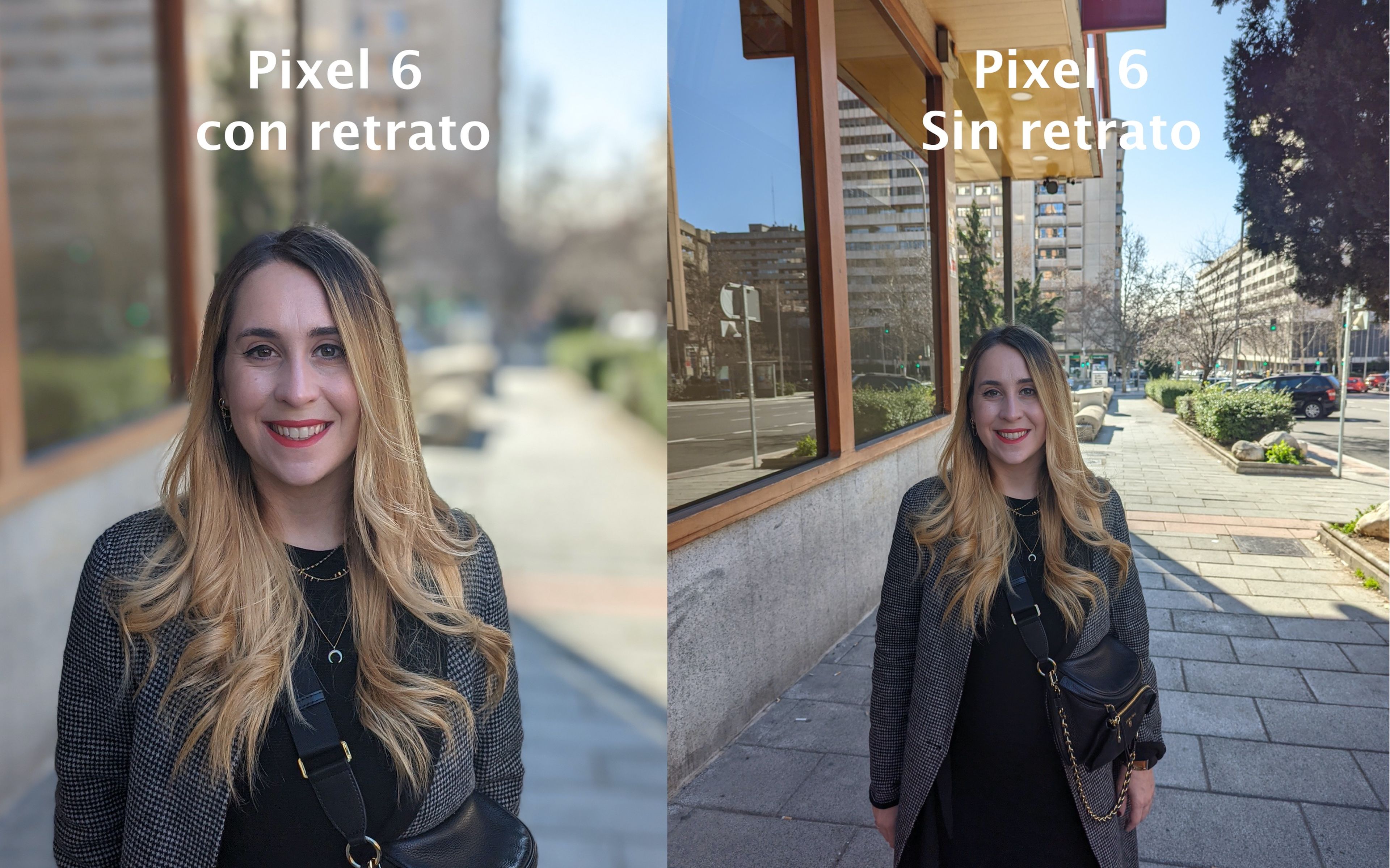 Google Pixel 6 retrato
