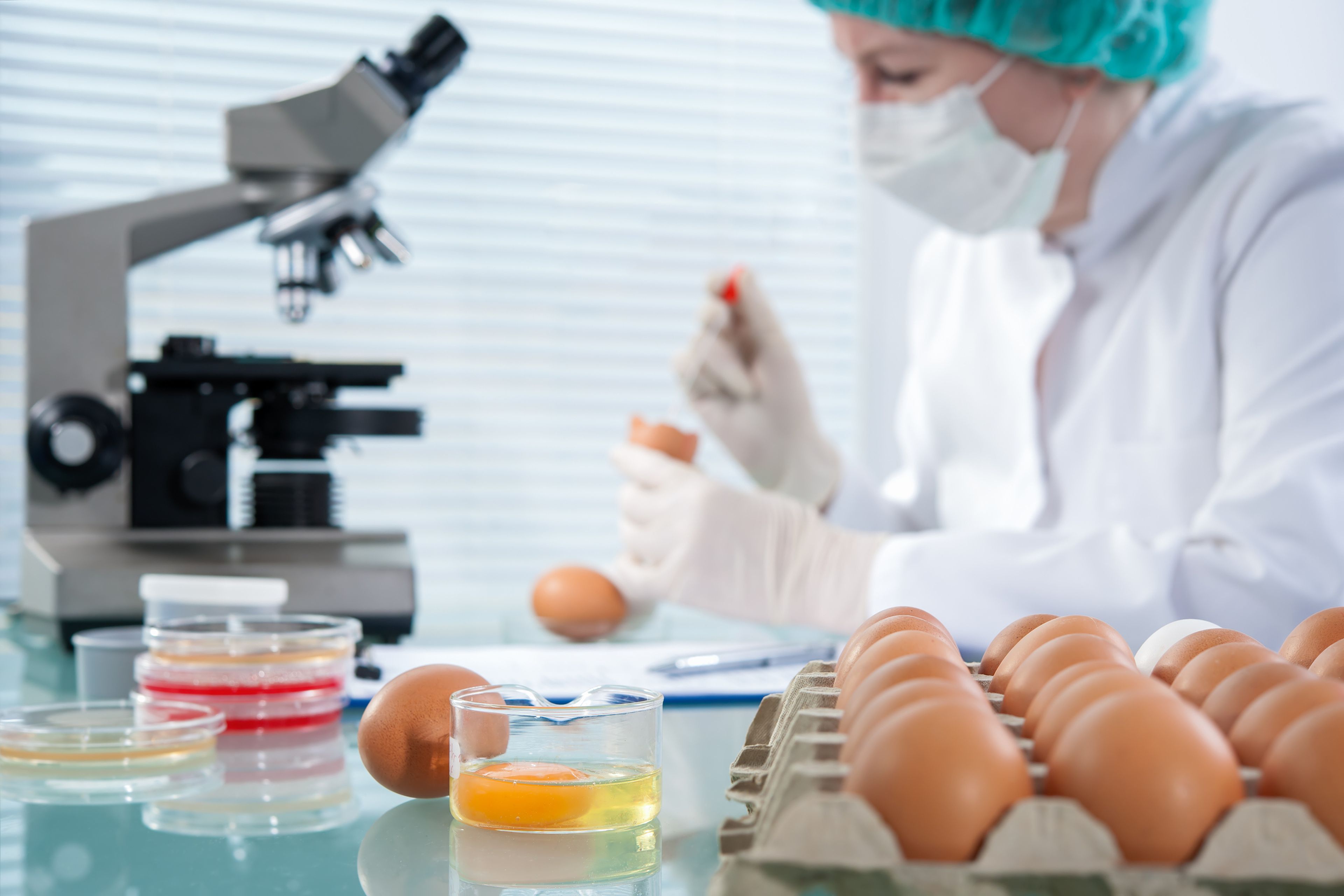 Huevo cultivado en laboratorio
