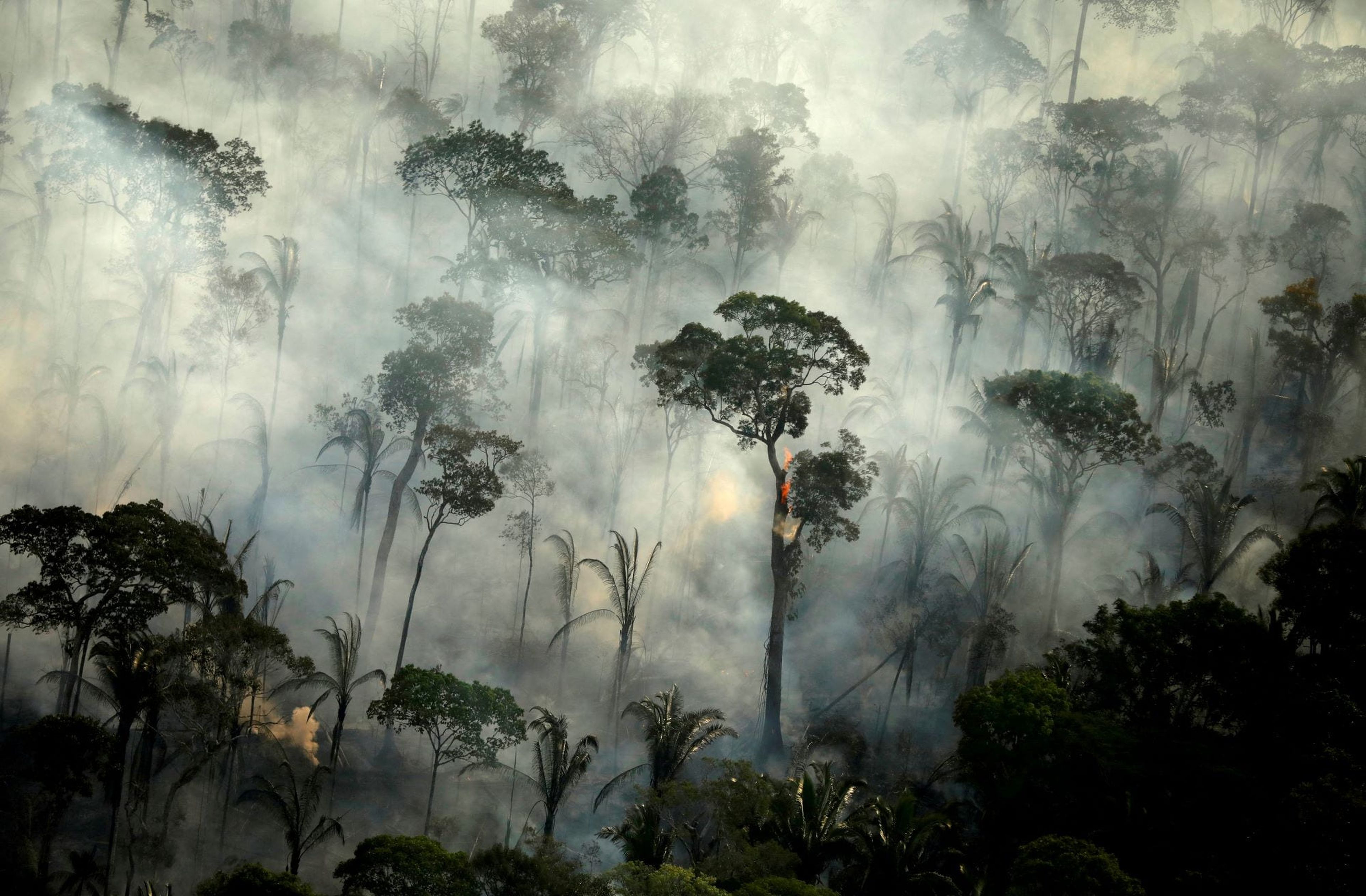 Incendios del Amazonas en 2019.