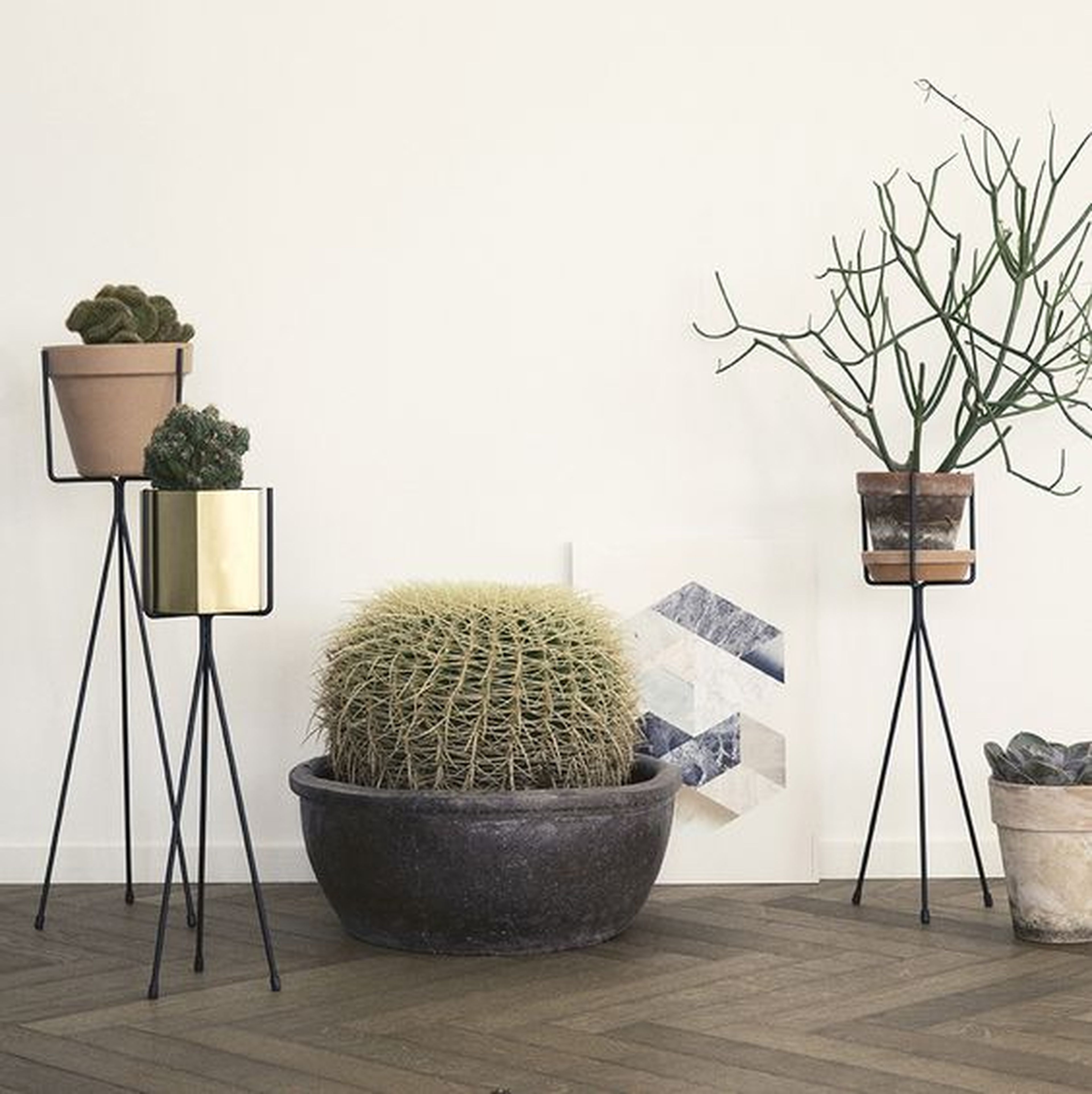 Con estos maceteros podrás dar vida a tus paredes por muy poco dinero (y  tener plantas