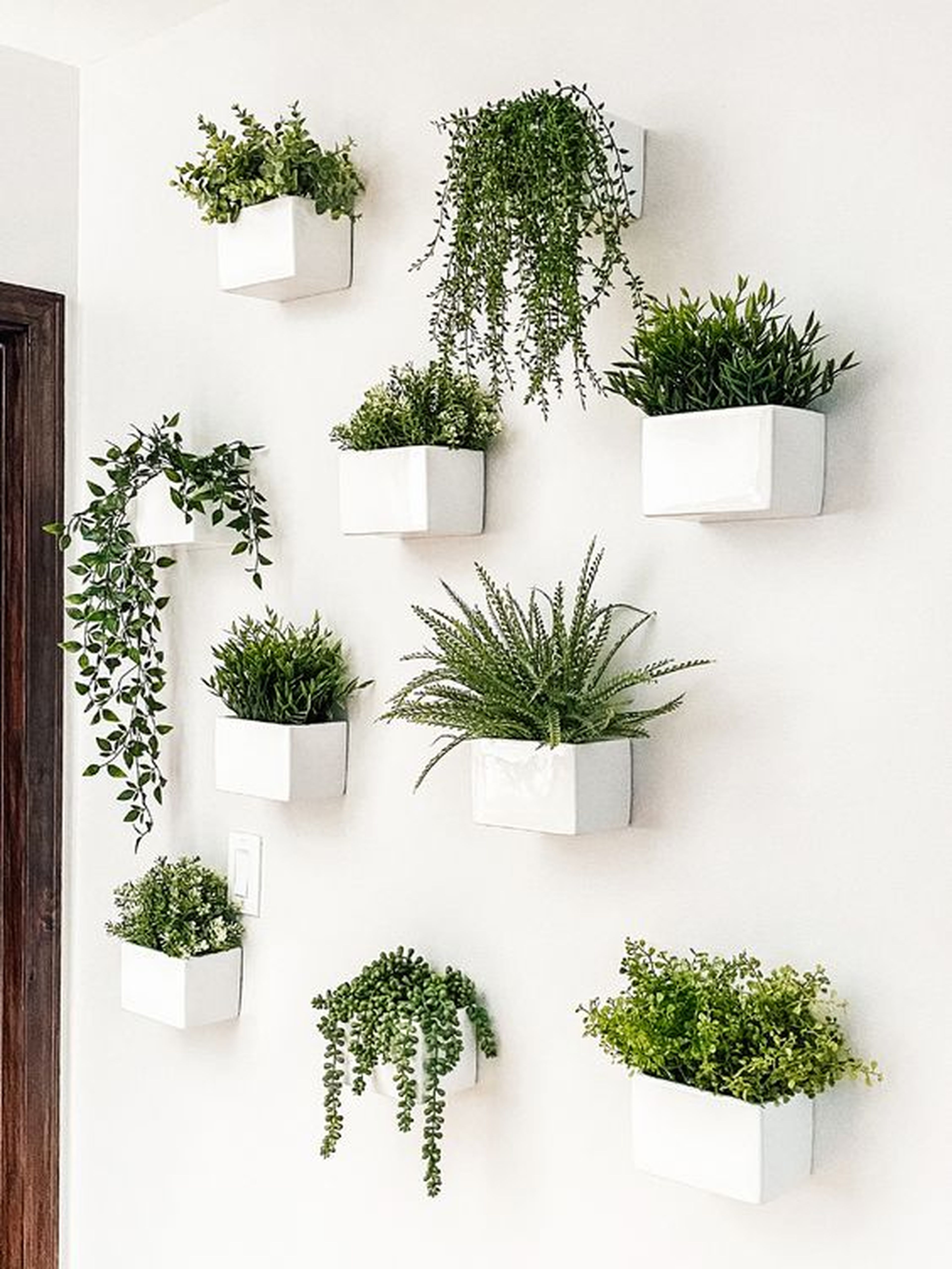 Las mejores ideas para decorar tu casa con plantas, según expertos |  Business Insider España
