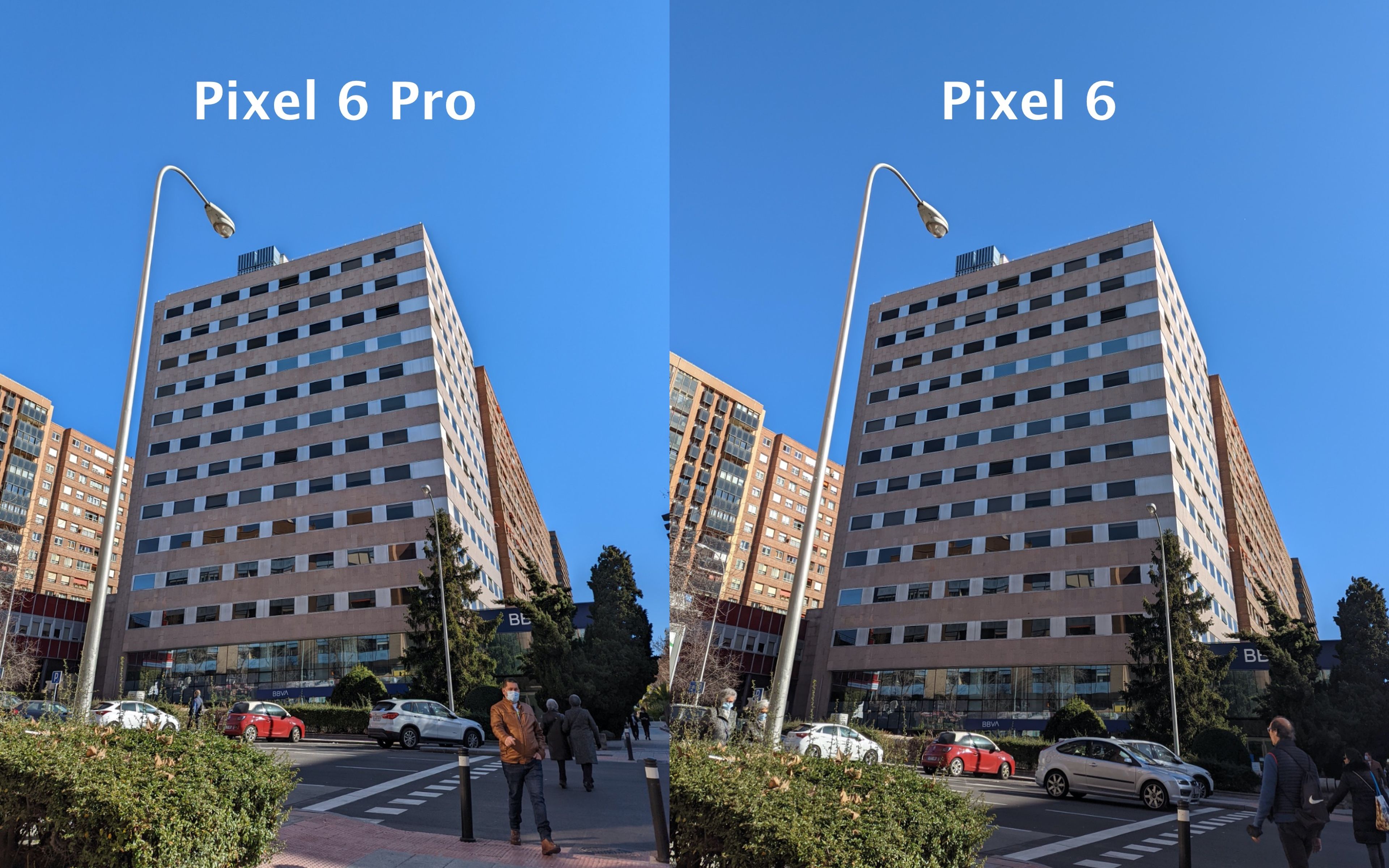 Pixel 6 comparativa