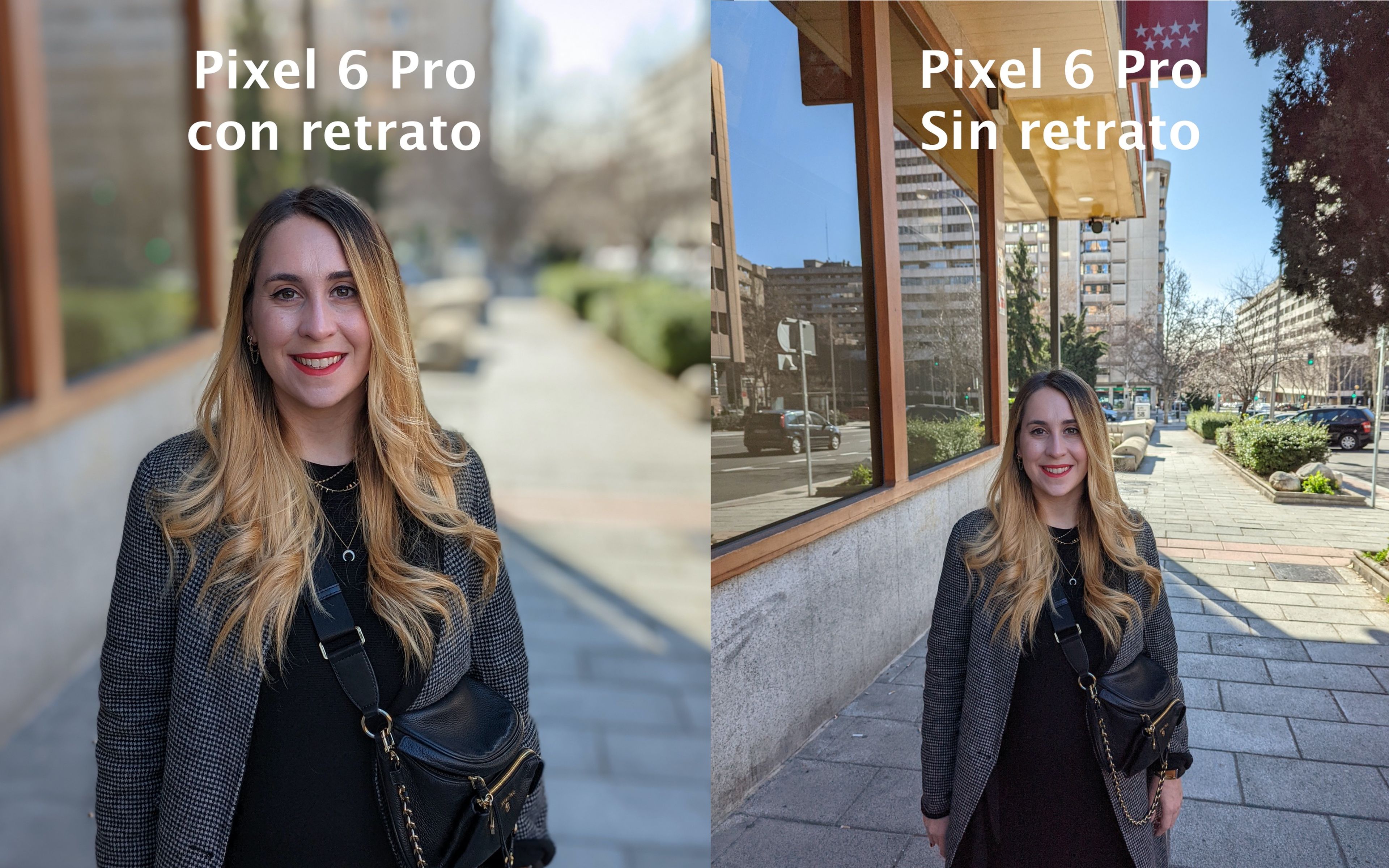 Retrato Pixel 6 Pro