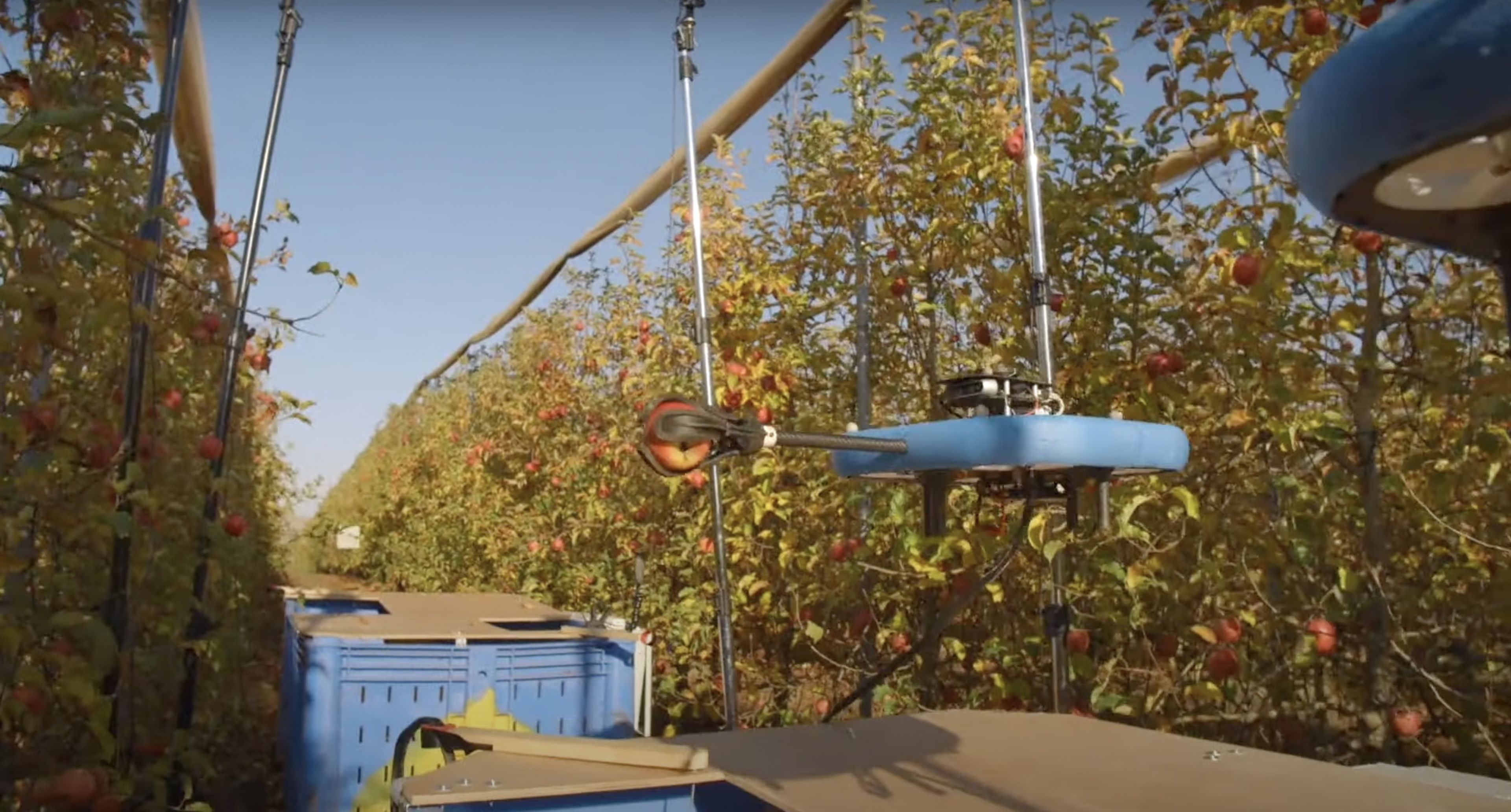 Un robot de Tevel cogiendo una manzana.