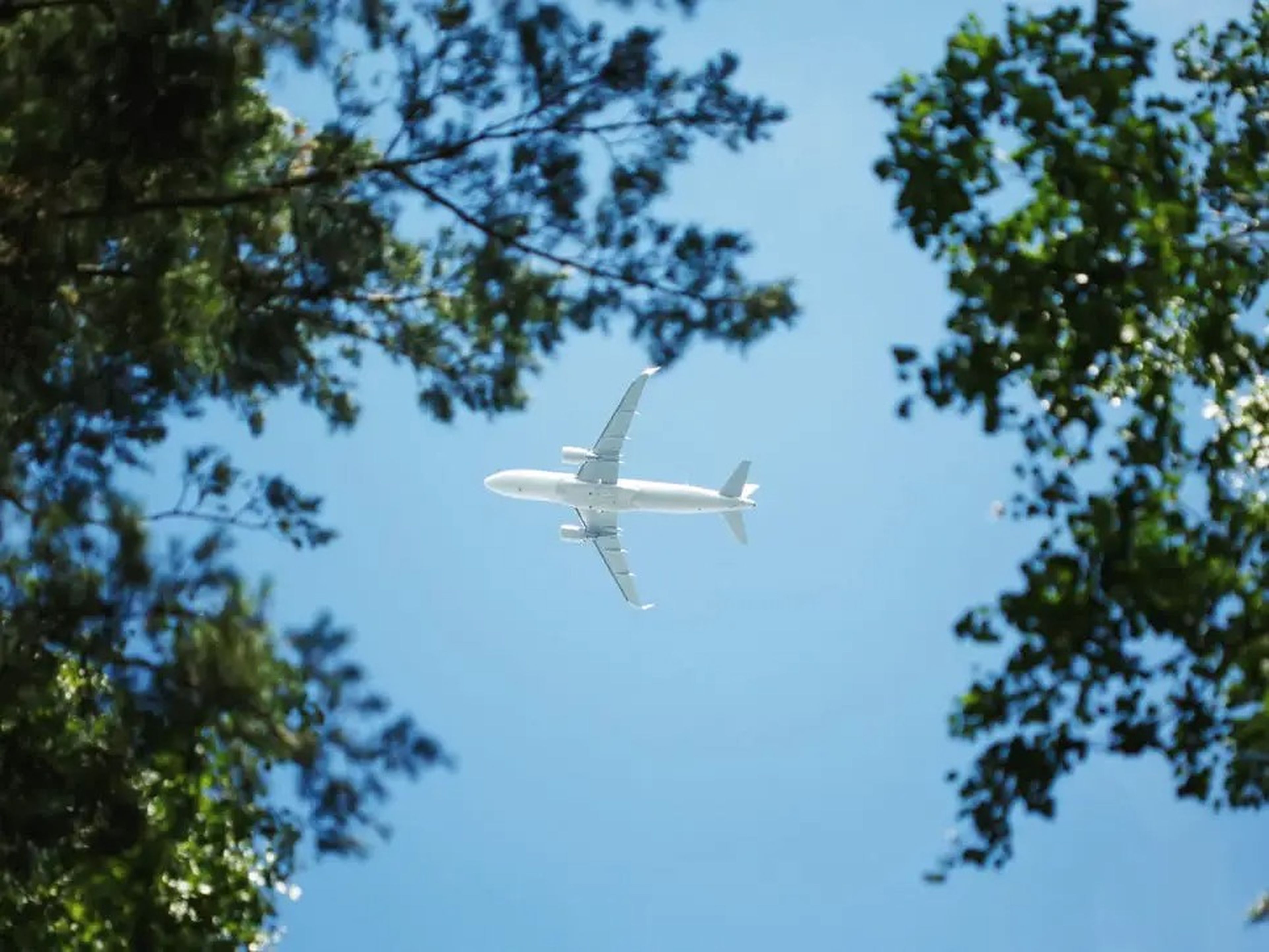 Aircraft flying above trees`