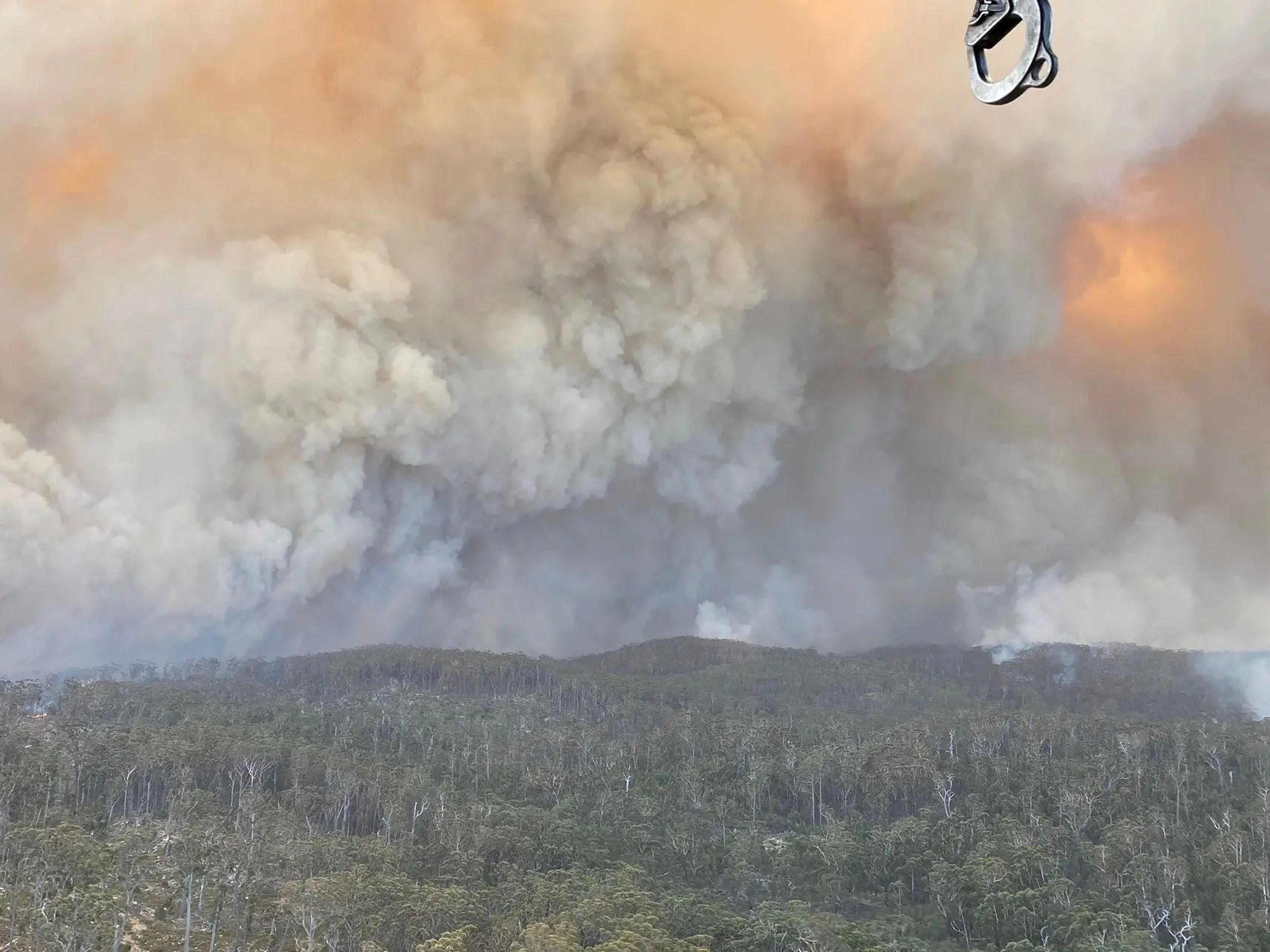 El humo se eleva a medida que el incendio de Big Jack Mountain se propaga en Bega Valley, Nueva Gales del Sur (Australia), el 1 de febrero de 2020.