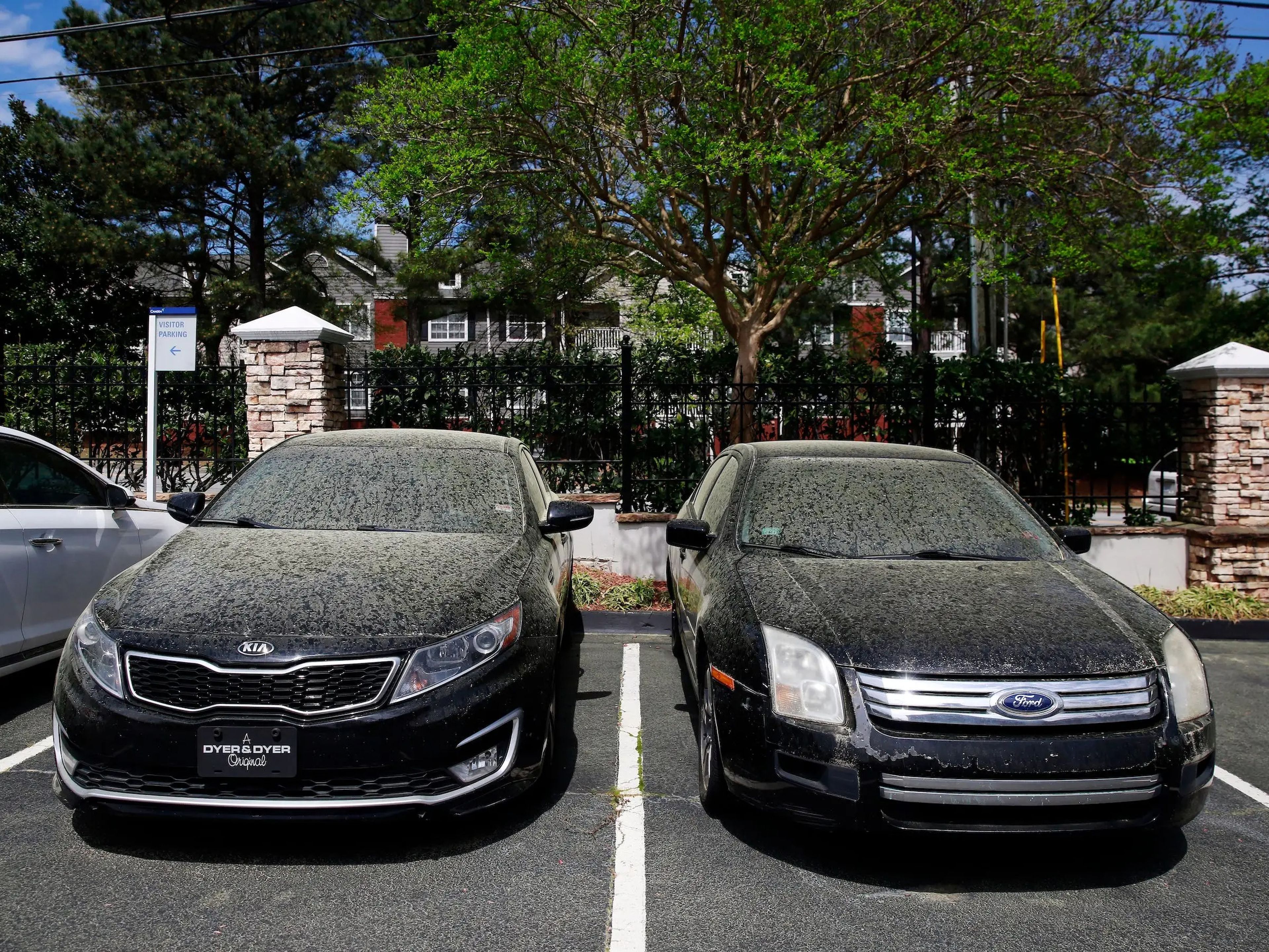 El polen de pino se acumula en coches estacionados en Dunwoody, Georgia (EEUU), el 30 de marzo de 2020.