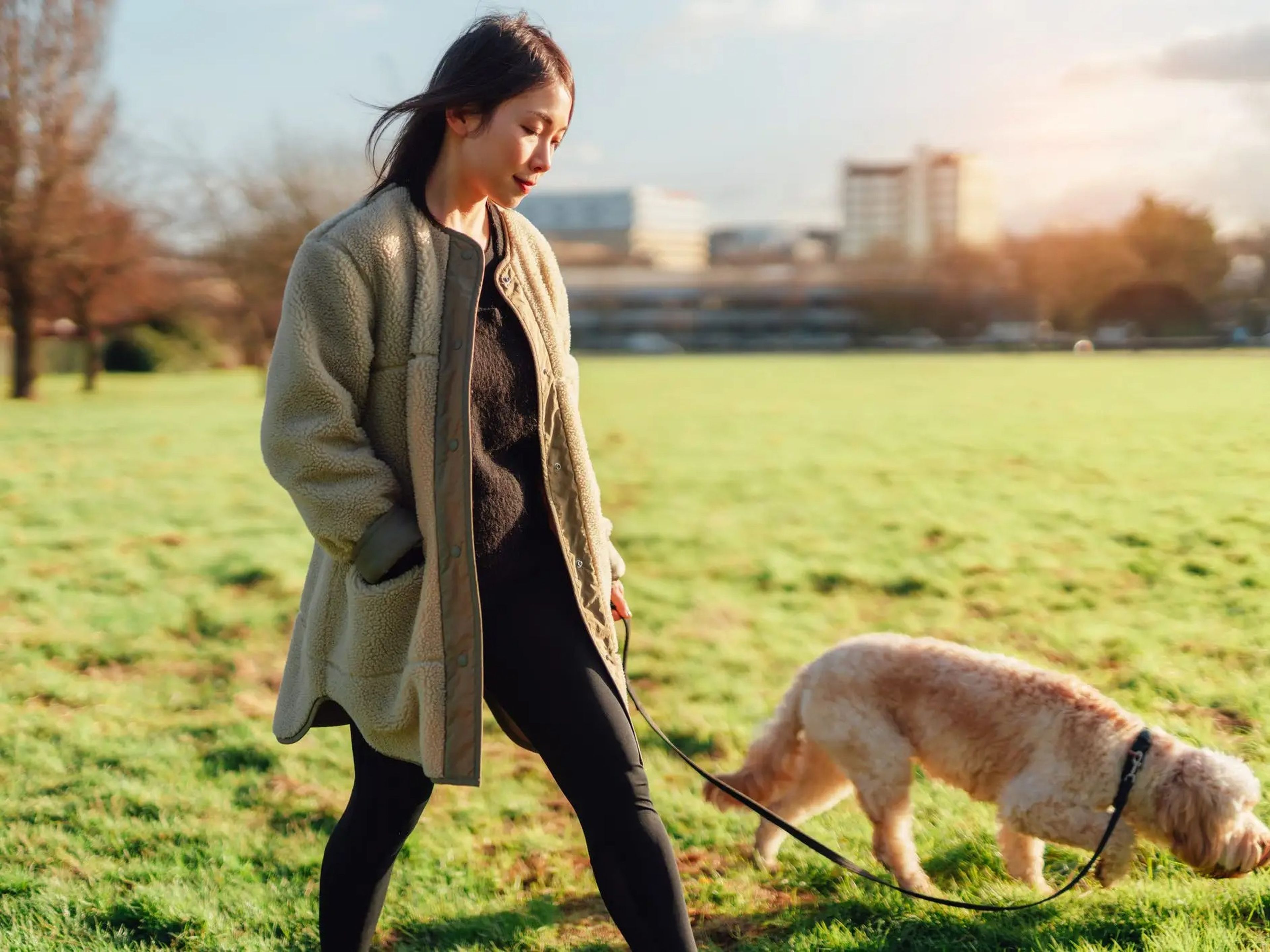 a woman walking a dog in a sunny park with a cityscape in the background