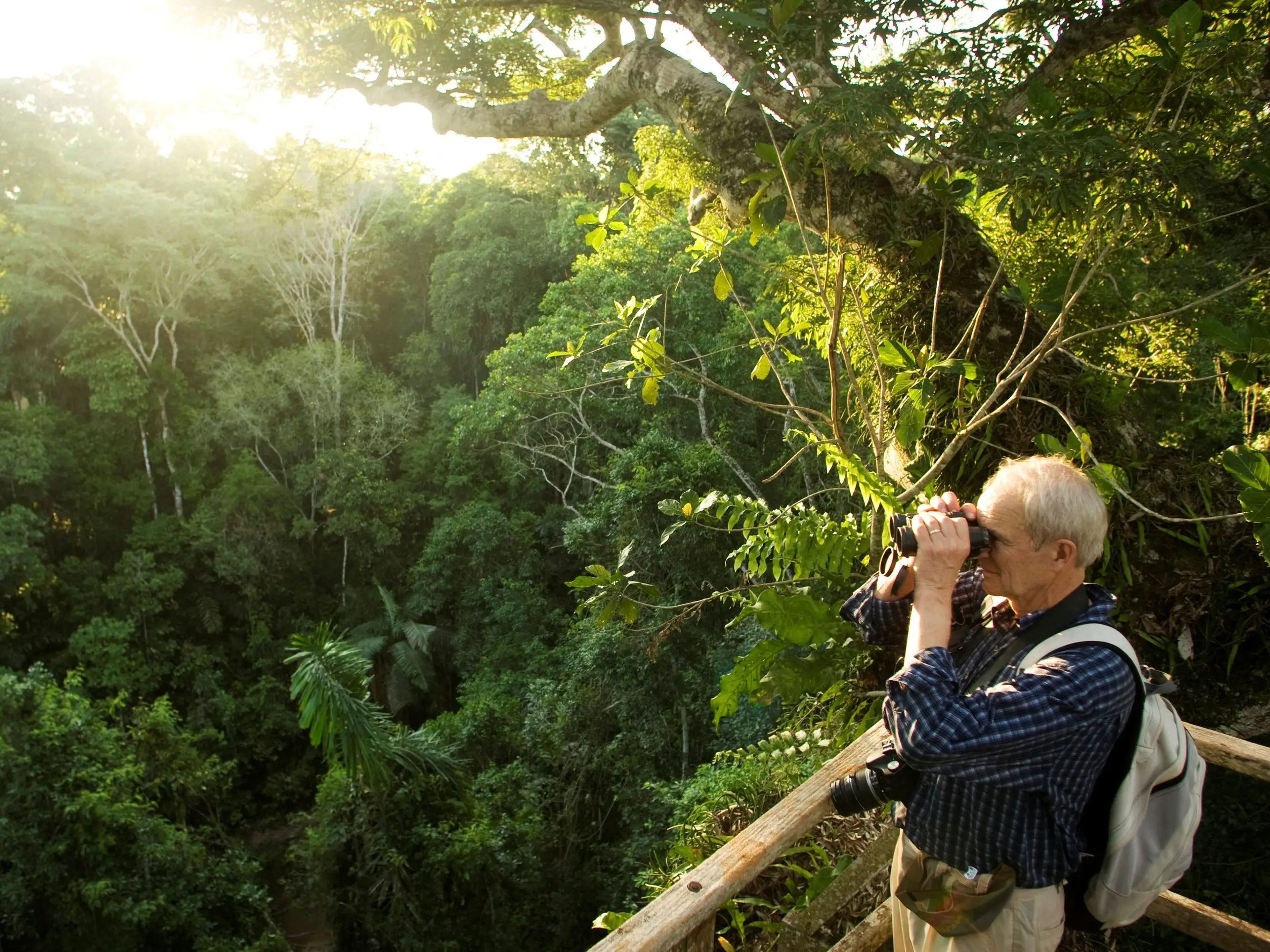 Un turista observa aves en la parte superior de un dosel en la Reserva de la Biosfera del Manu en la región amazónica de Madre de Dios, en el sur de Perú, el 2 de noviembre de 2009.