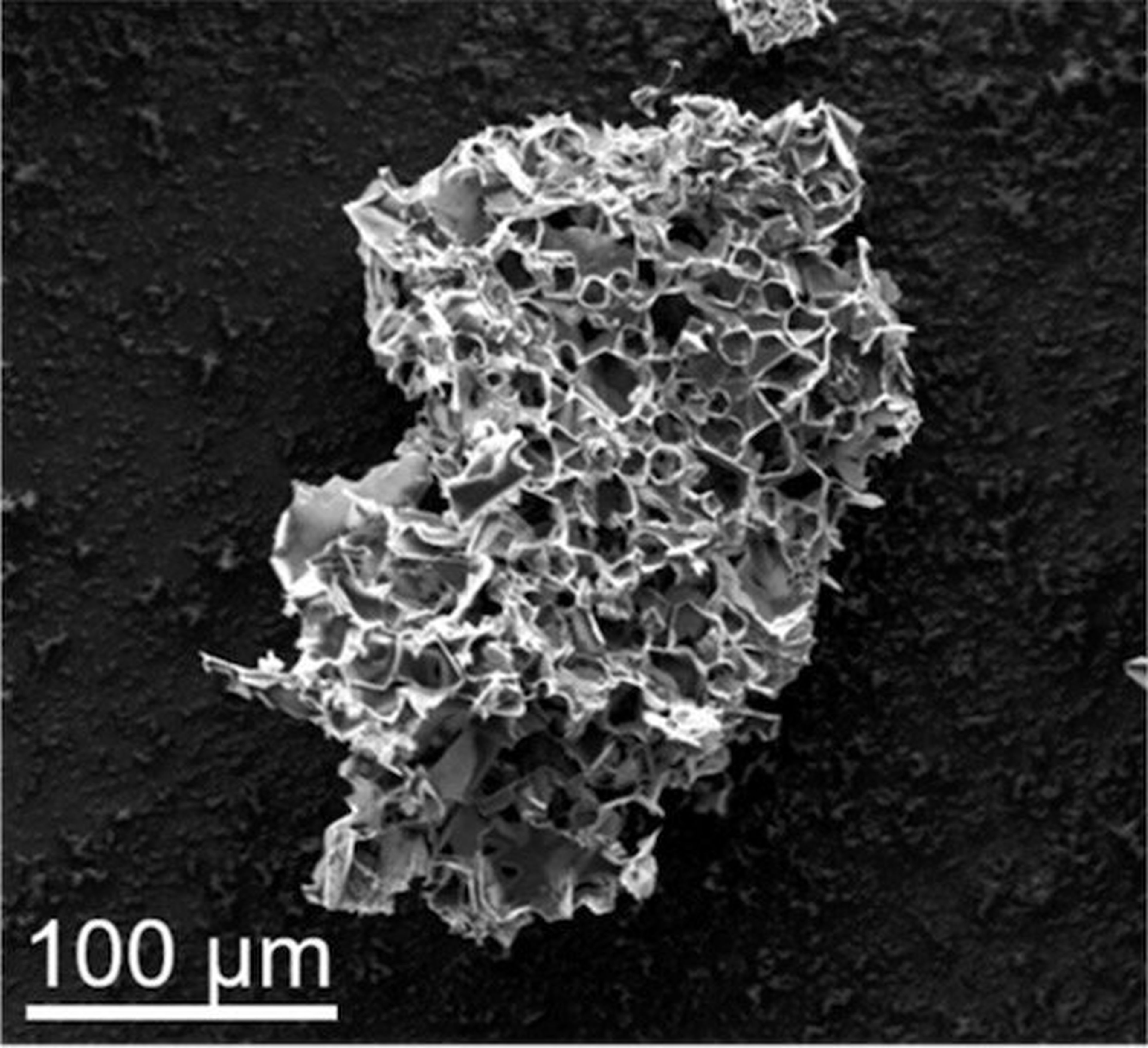 Partícula a escala micrométrica, capaz de secuestrar carbono de las corrientes de combustión.