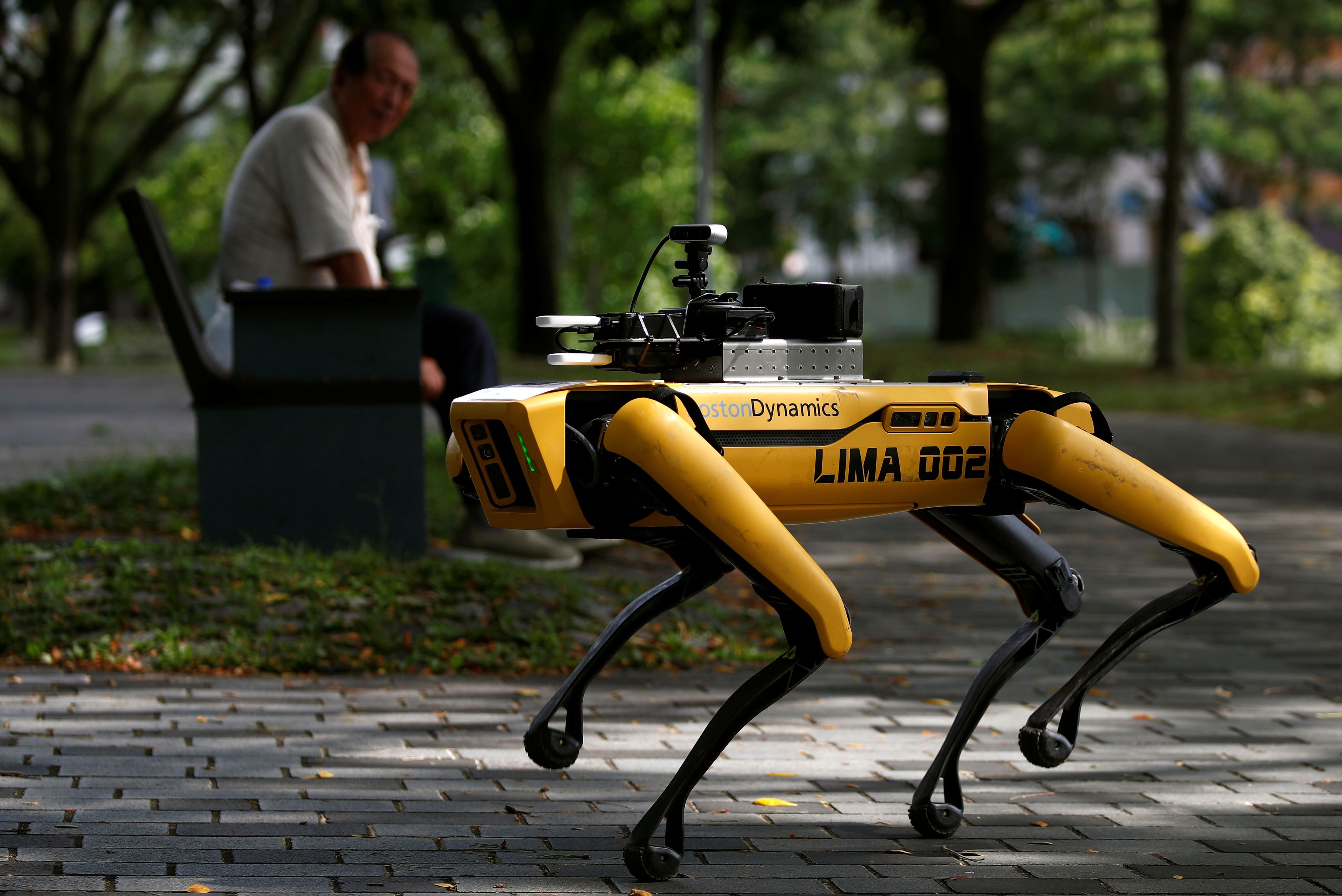 Perro robot caminando por la calle