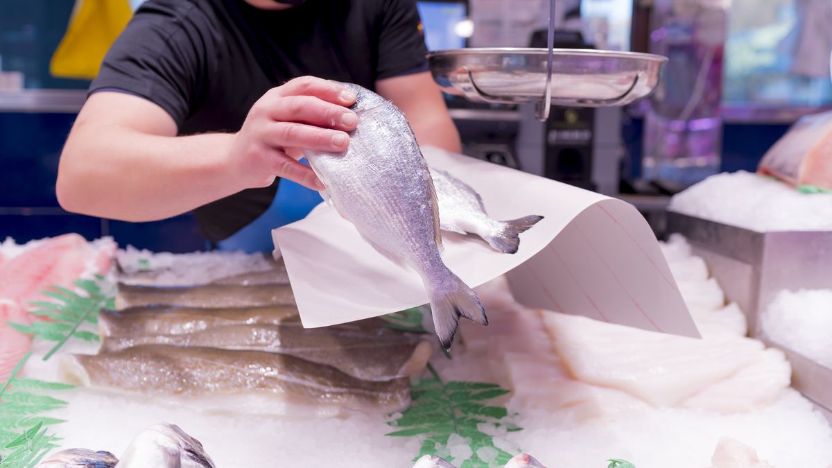 Los pescados de temporada que están más baratos en otoño e invierno para no arruinarte en la pescadería