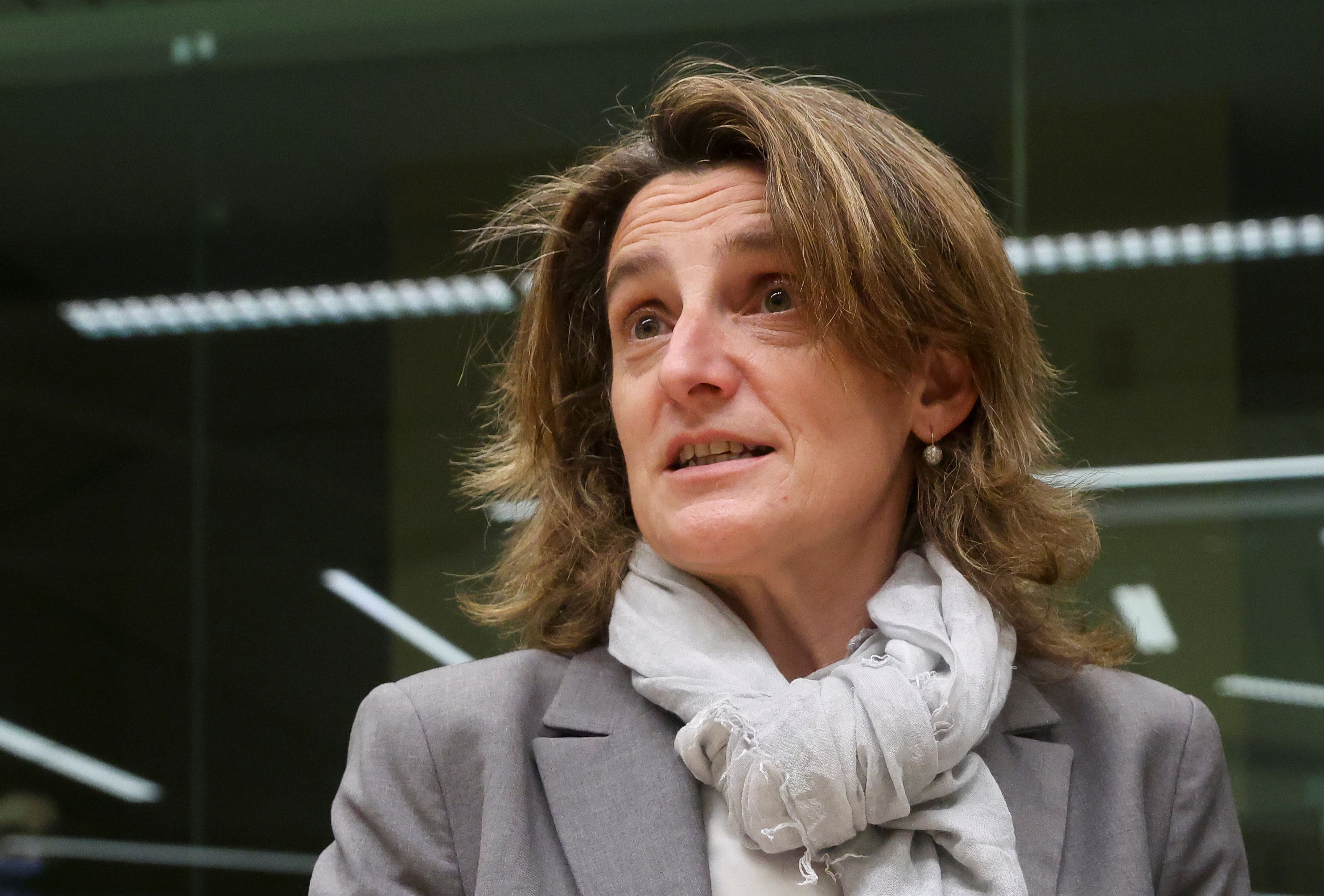 Teresa Ribera, ministra para la Transición Ecológica de España