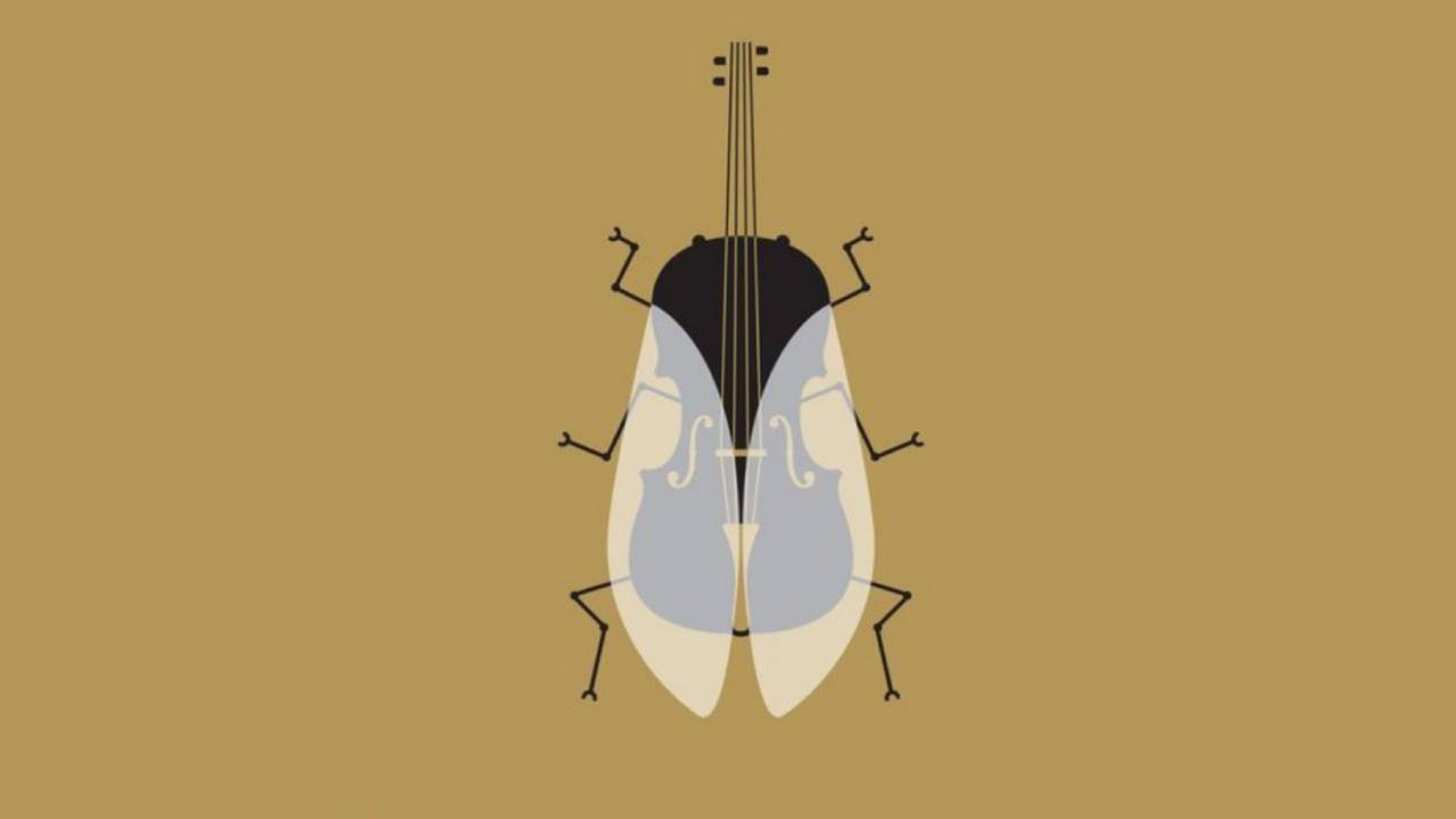 Test visual mosca violín